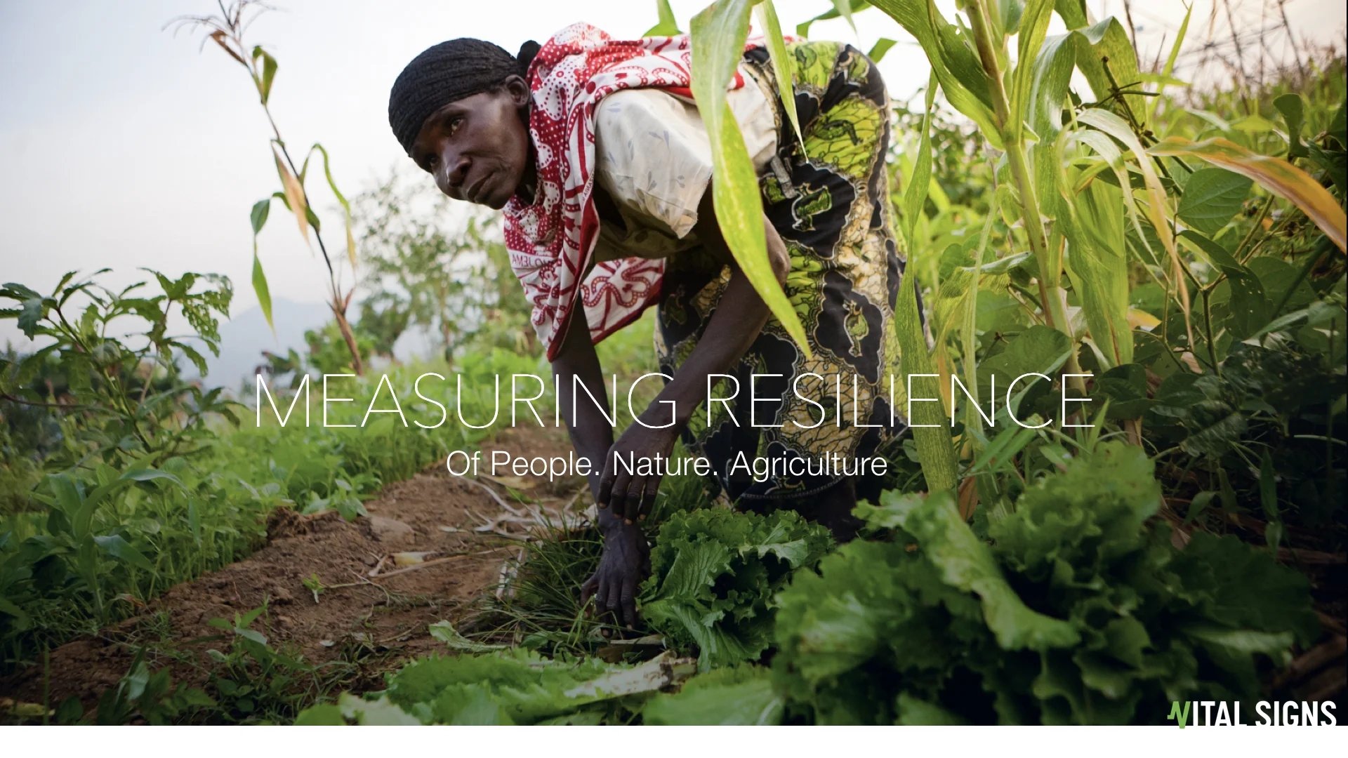 Pure D web - VS4.001.jpeg