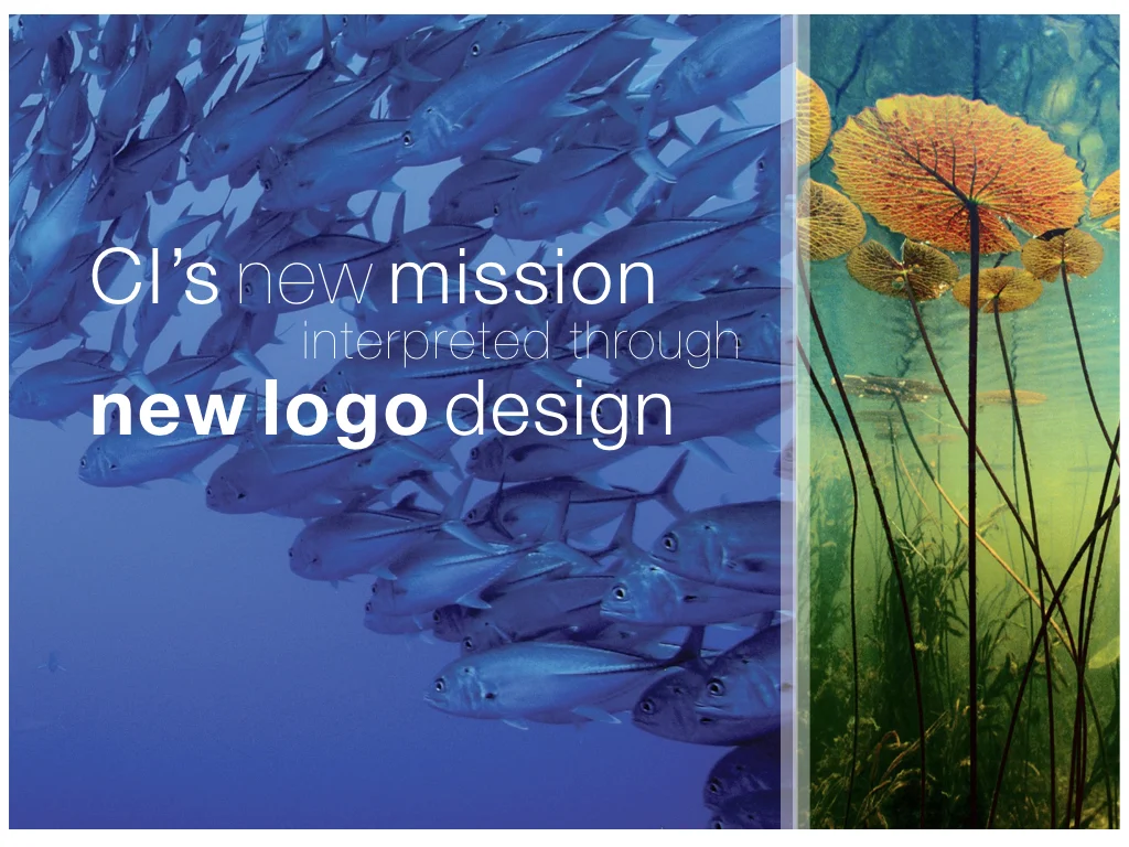 CI Campaign and Logo Elements.001.jpeg