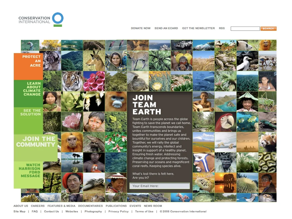 CI Campaign and Logo Elements.004.jpeg