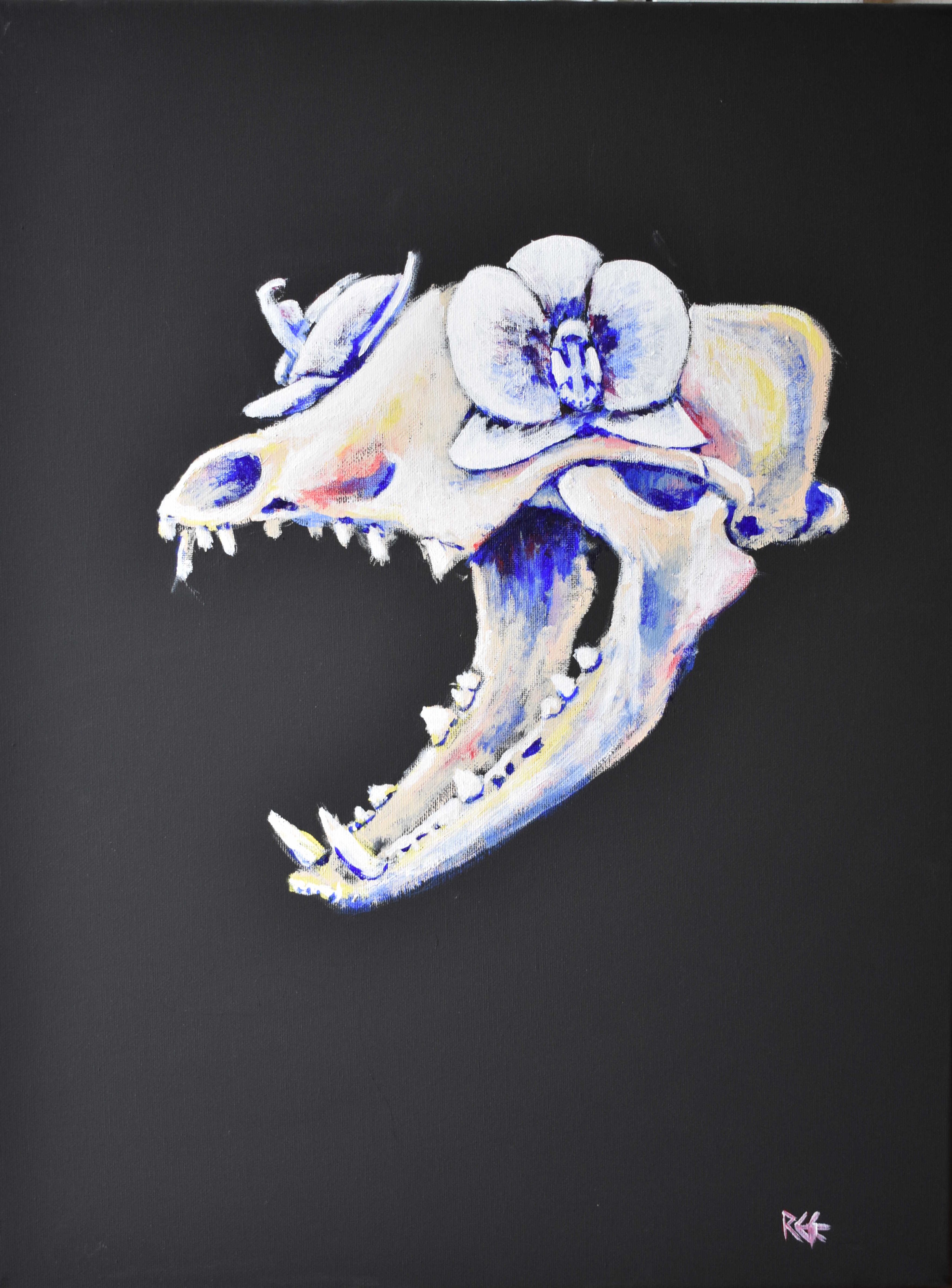 Joy - Coyote skull w/ 3D print orchid
