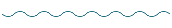 soncy300 wide squiggle.png
