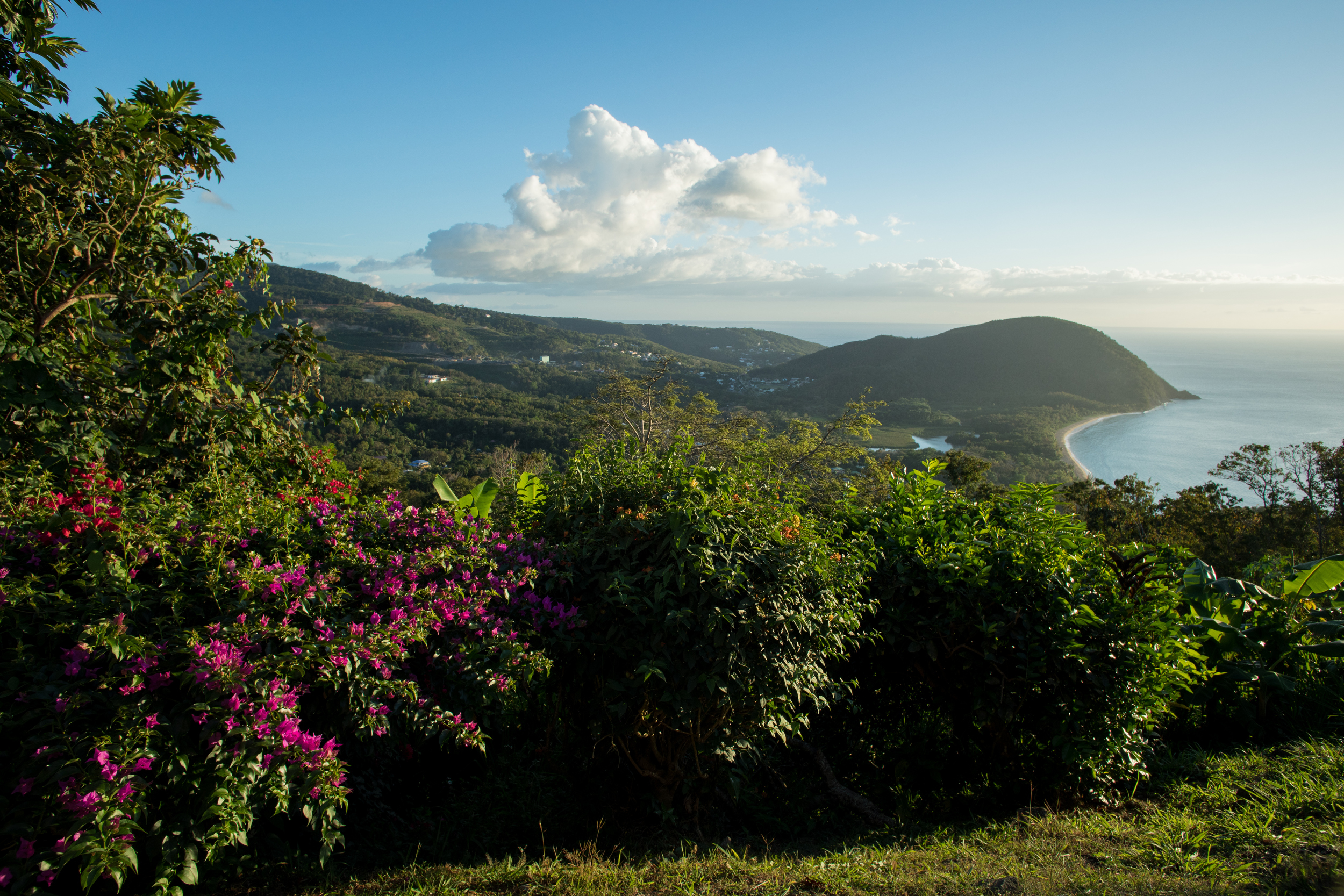 nsp_guadeloupe_25.jpg