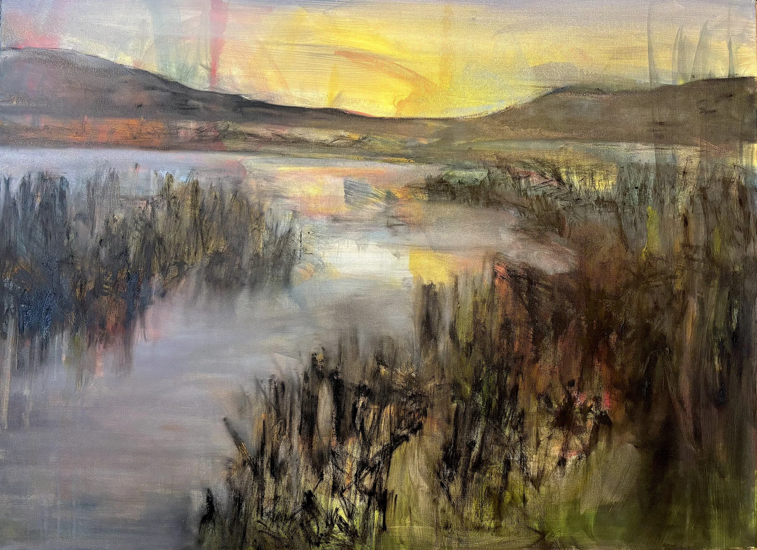 John's Marsh 