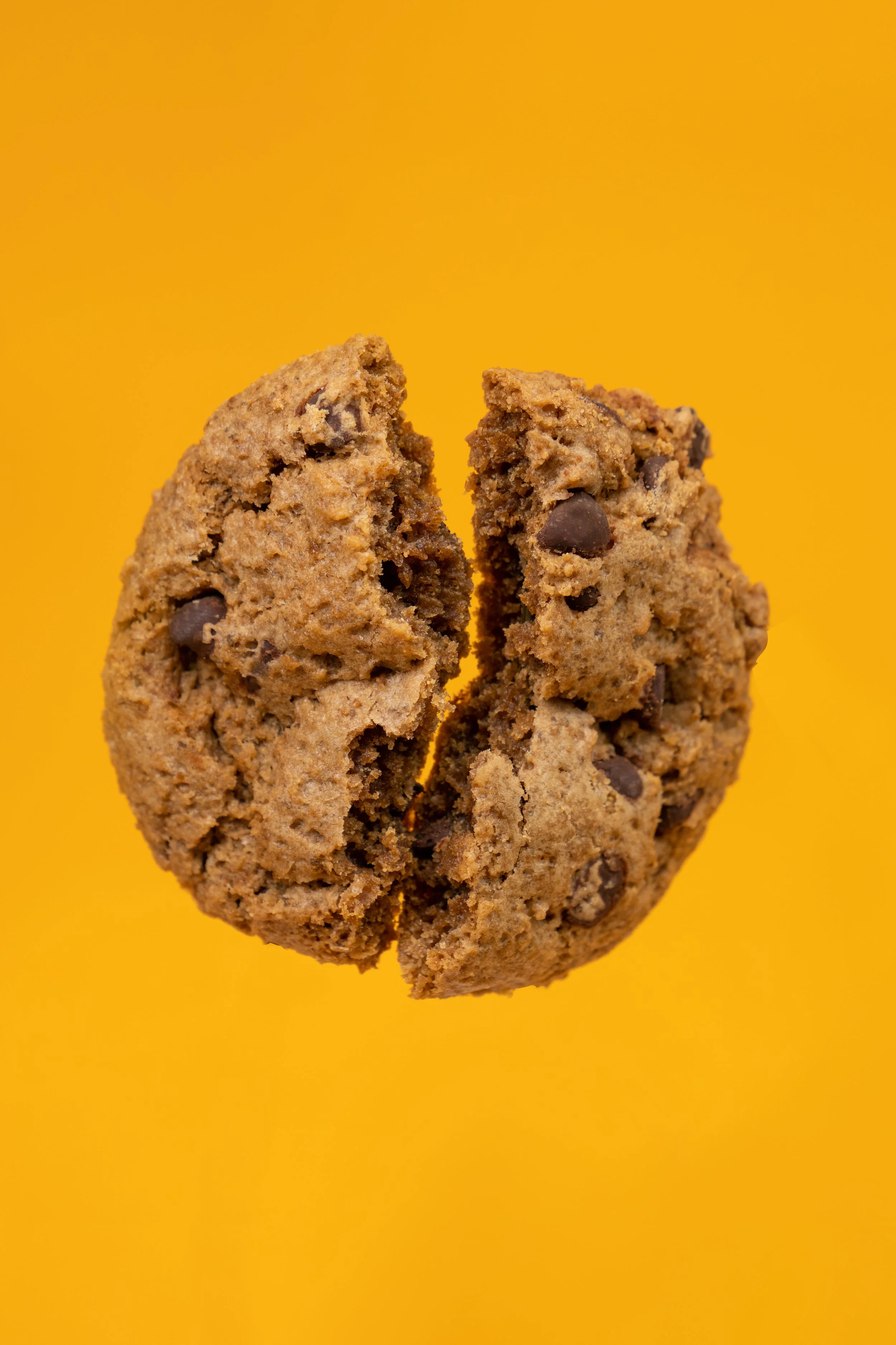 Niuie_Yellow_chocolatechip_broken_vertical.jpg