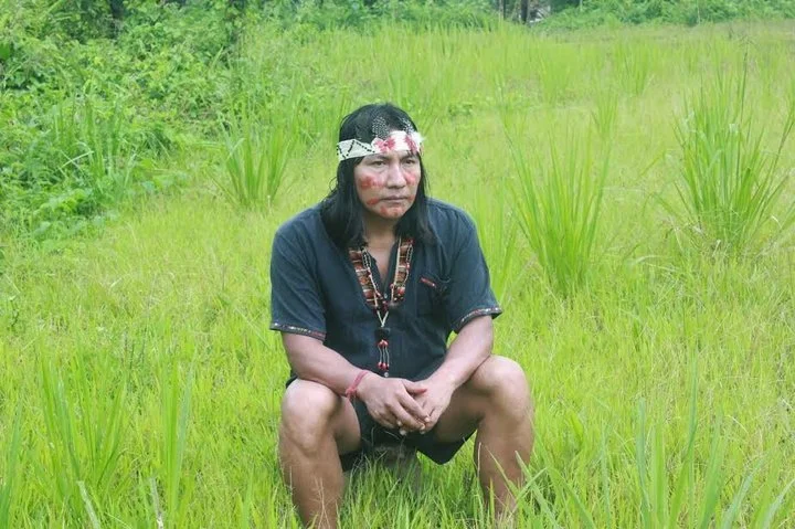 Shamanic Medicine Under the Microscope