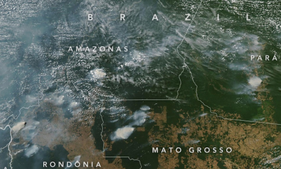 Protect the Amazon