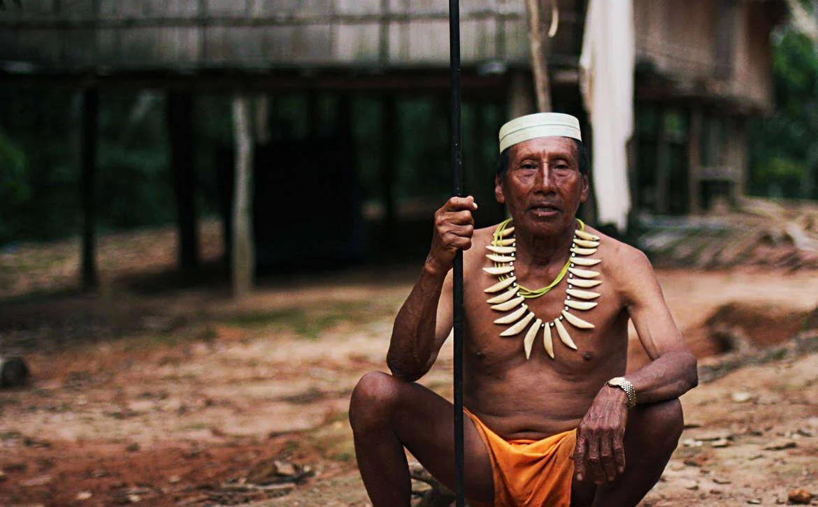 The Matsés 