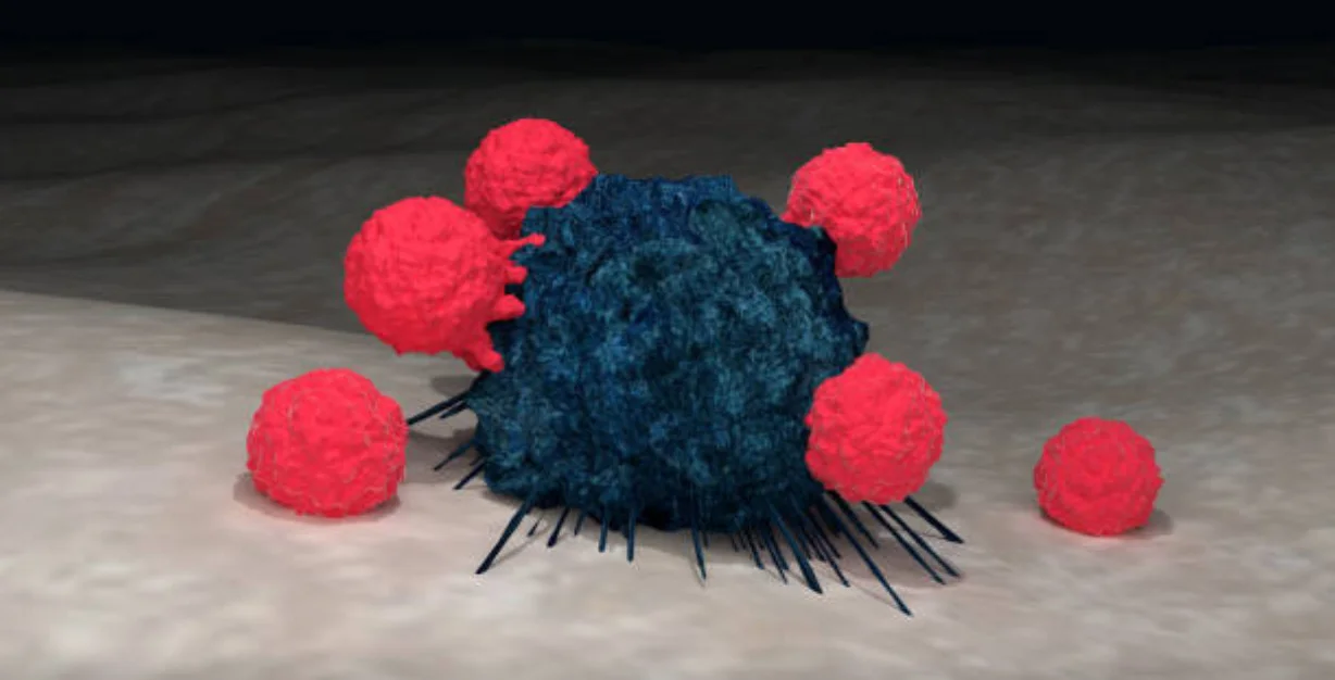 Cancer Immuno image_2018-12-28.jpg