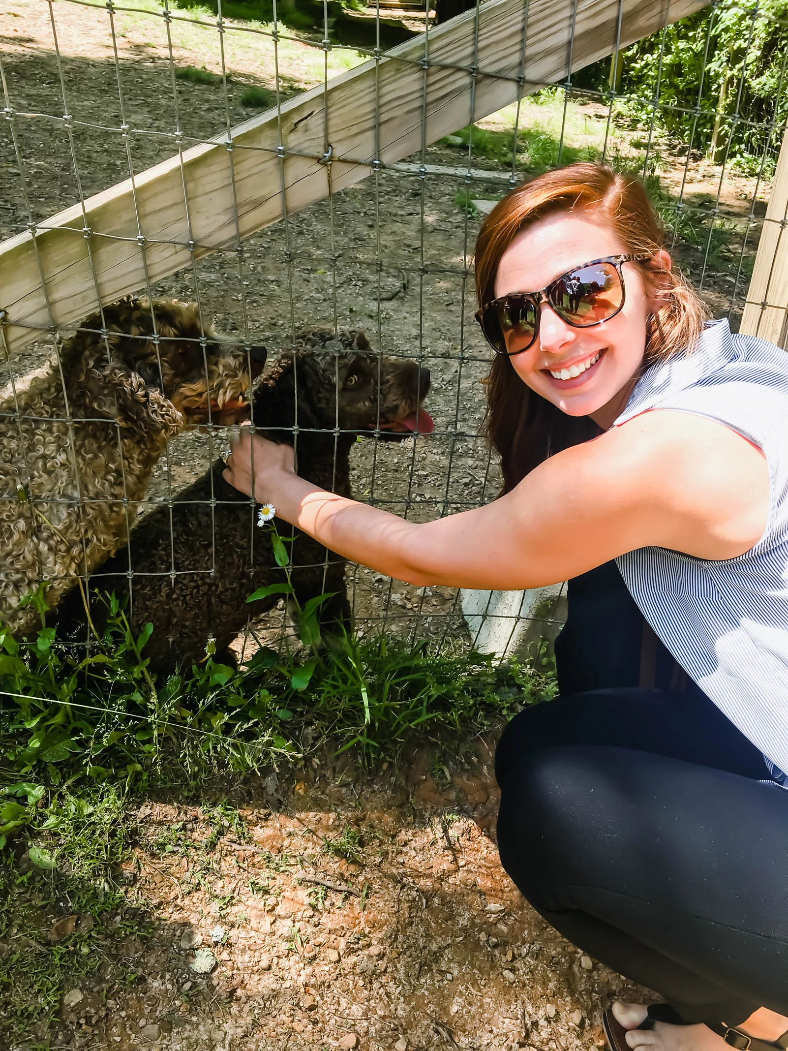 Me and the cute little Italian truffle dogs they breed and train on property.