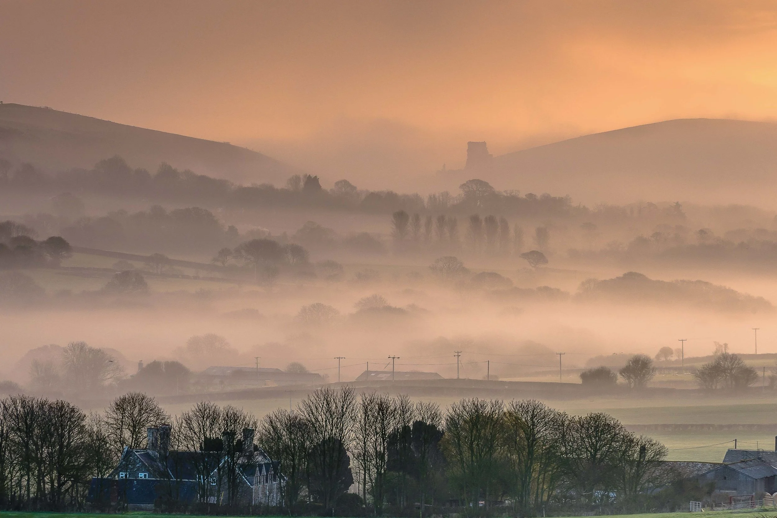 Misty Dorset.jpg