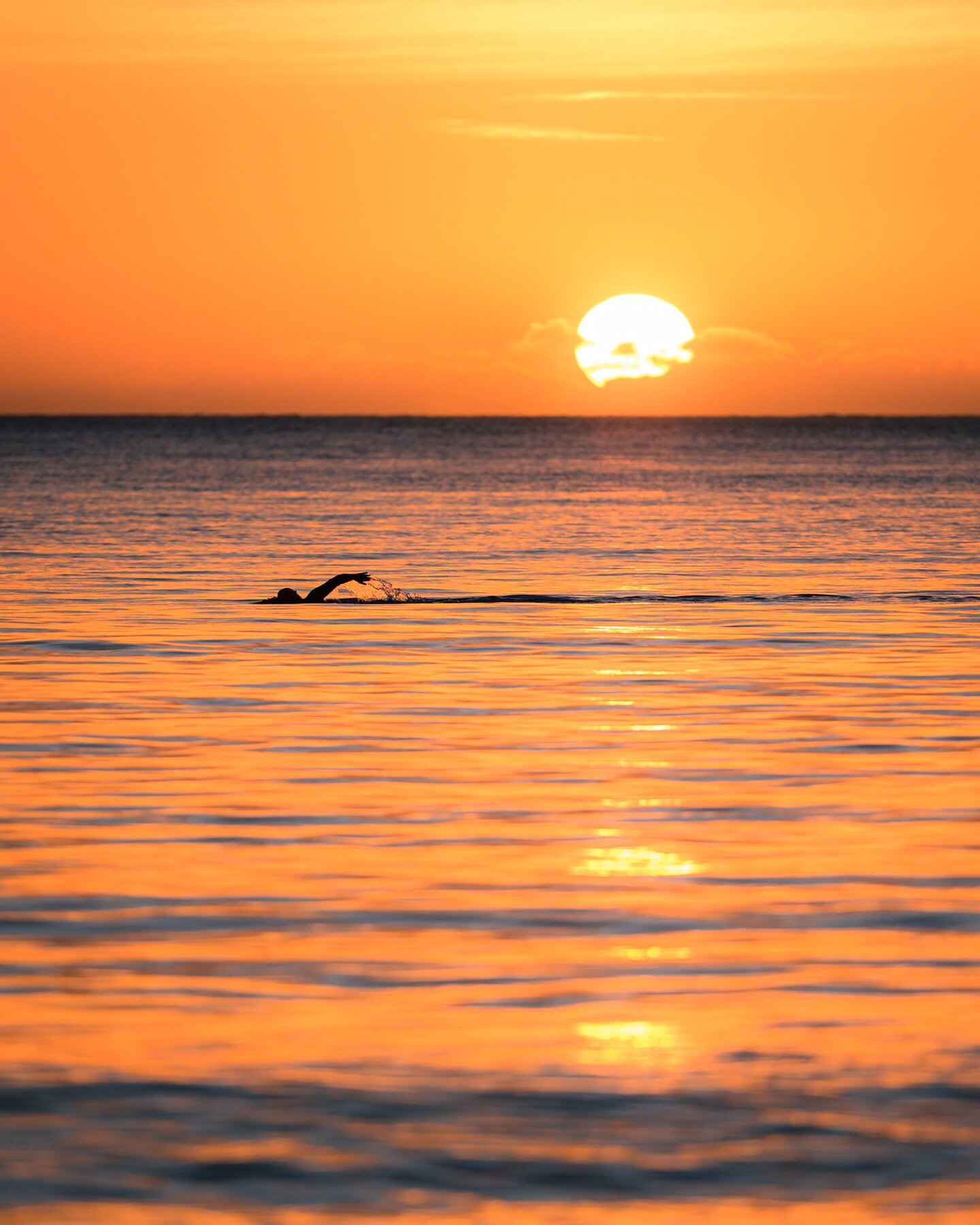 Chasing sunrise hues with every stroke 🌅🌊 #MorningMeditation #SeaSwim #SunriseMagic