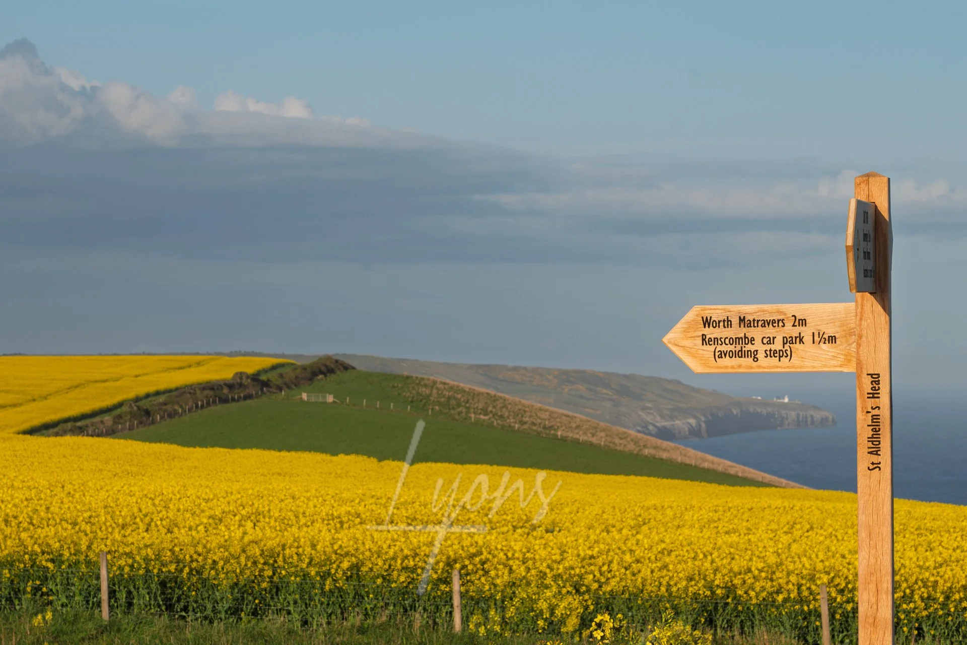 Bright angles - contrasts of colour on the South West coast path