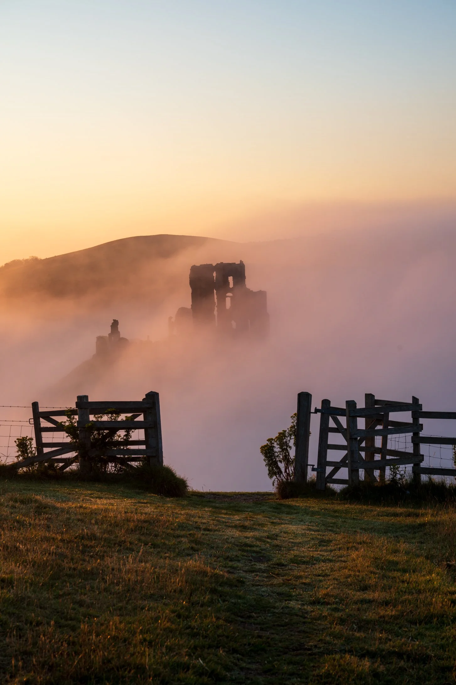 Through the gate and into the mist