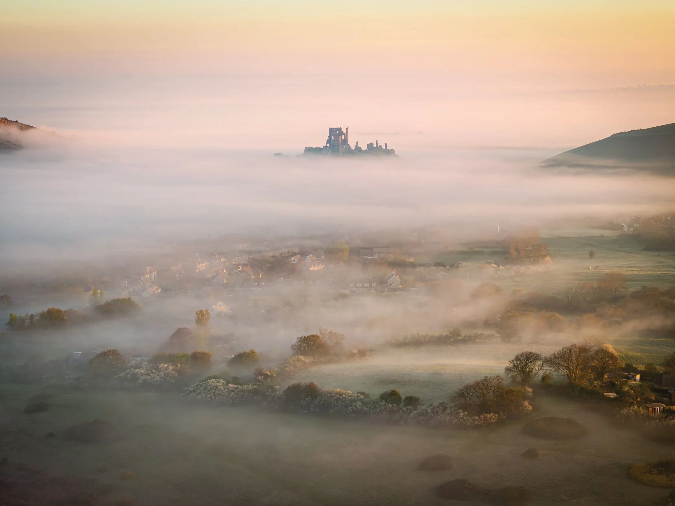 Golden mornings that don't get better than this