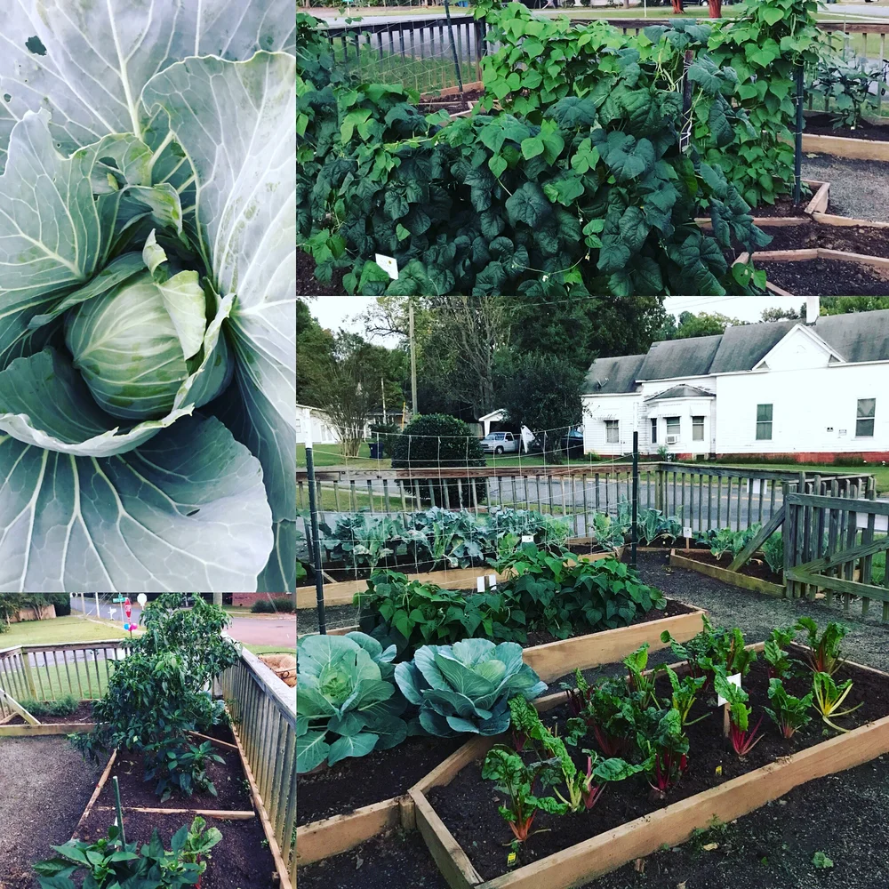 Vegetable Produce