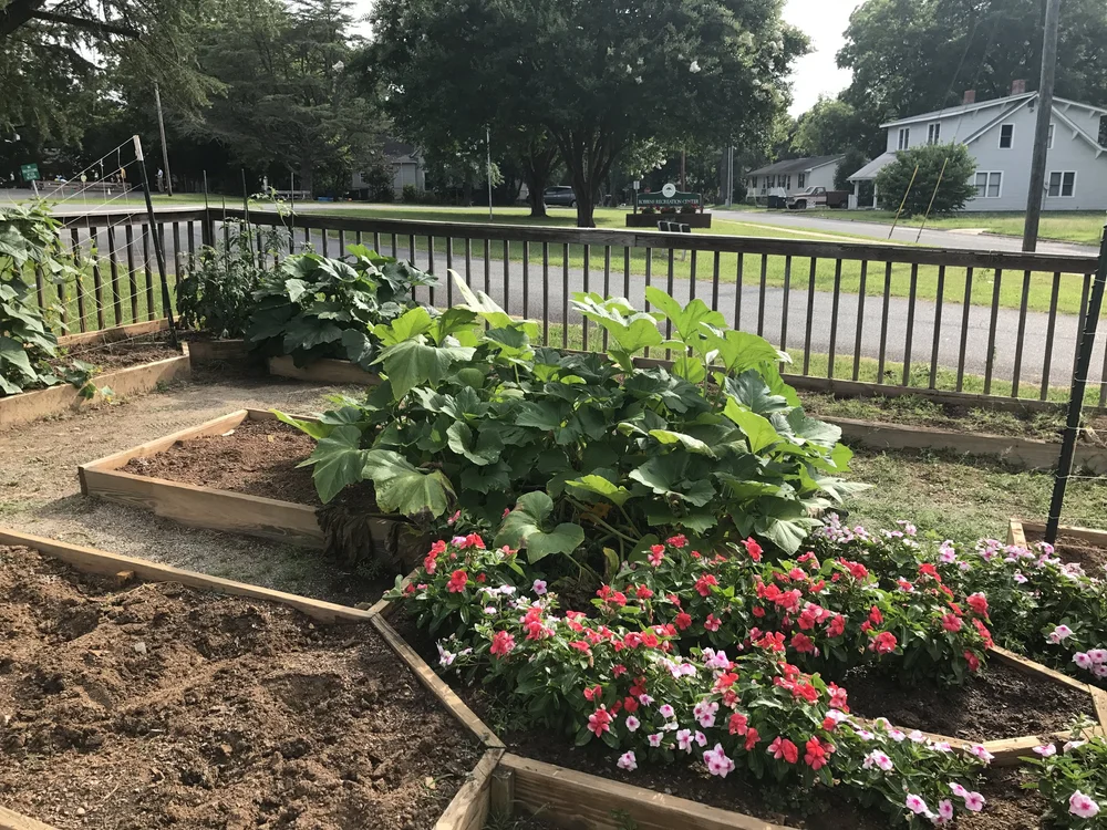 Raised beds