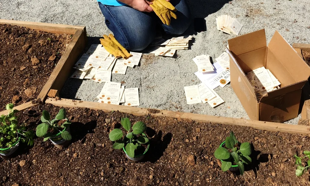 Seeds from Sow True Seeds
