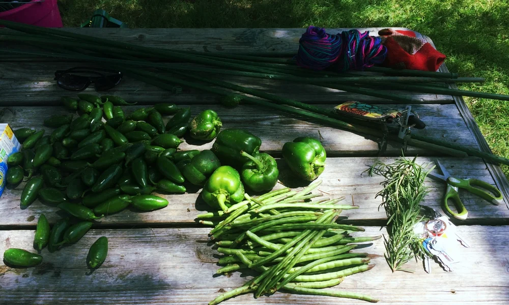 Harvest