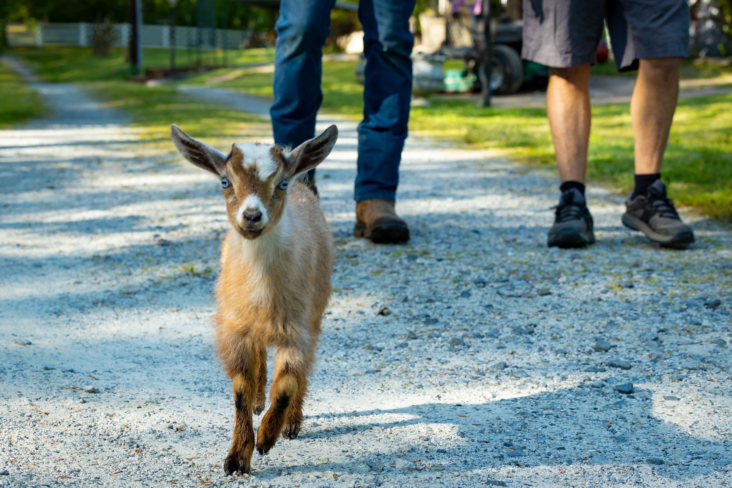 Rierson Farm-7.jpg