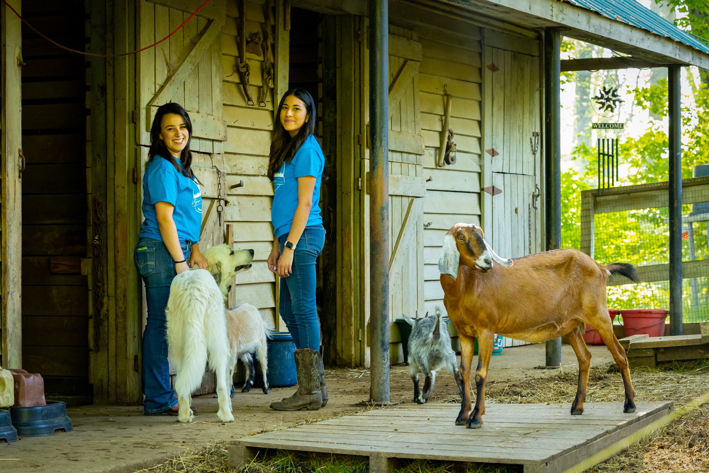 Short break during morning chores.