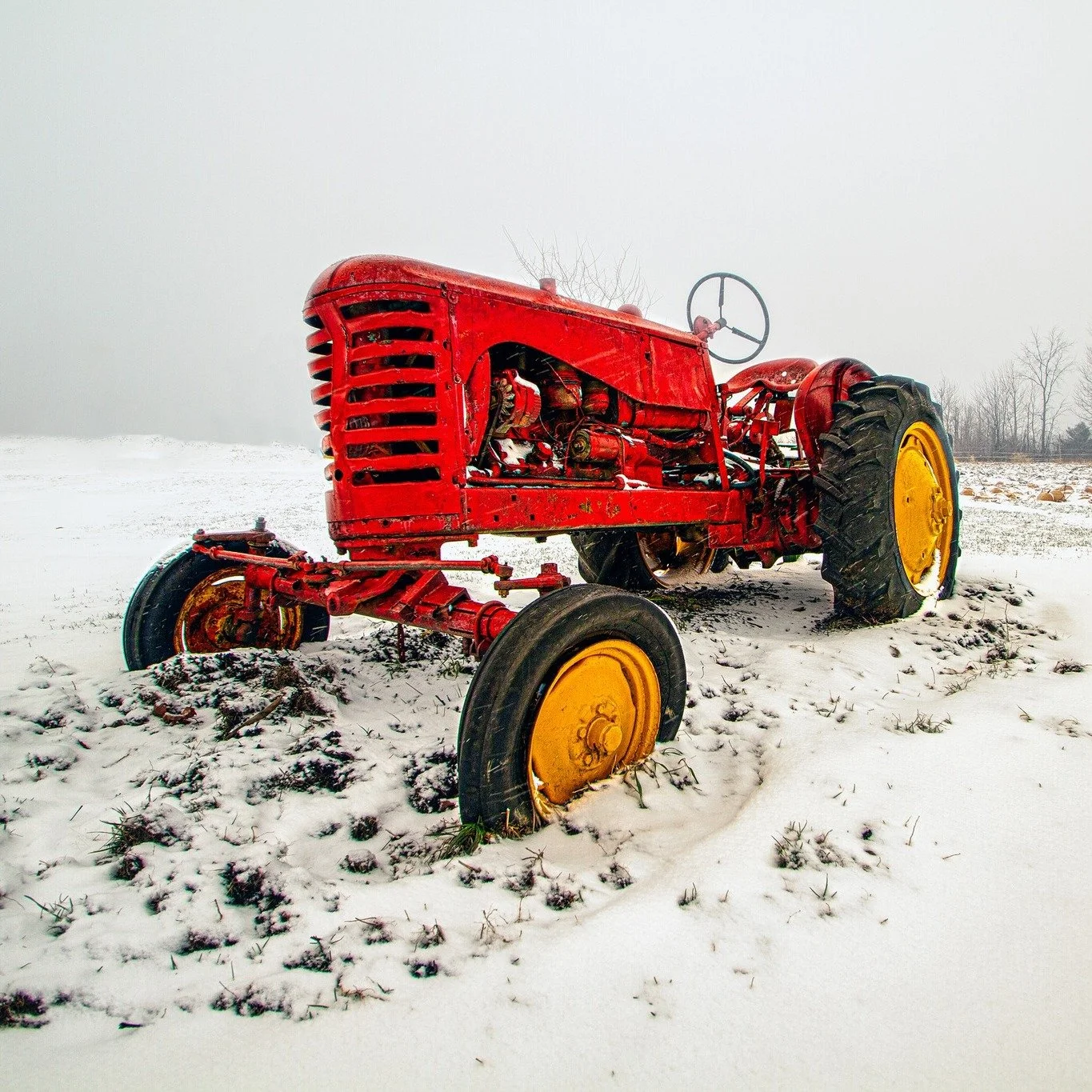 NEW EVENT ALERT!
Winterization Workshop &ndash; Hosted by NC Cooperative Extension, Guilford County Center

Get ready to prepare your farm or garden for the colder months! This workshop helps farmers and gardeners learn how to protect crops, soil, an