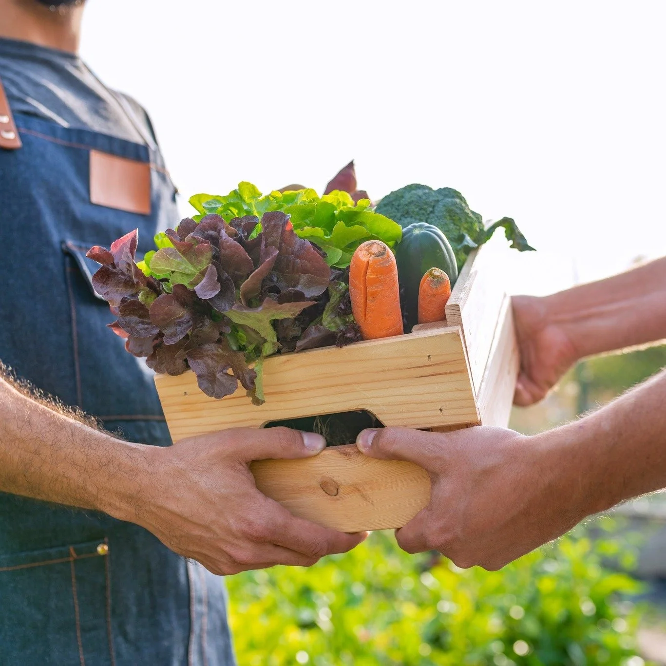 Your hands can help grow more than food &mdash; they grow community.
Volunteer with DCLFN and support local farmers, food access programs, and events that strengthen Davidson County&rsquo;s local food network. Every hour you give helps keep fresh, he
