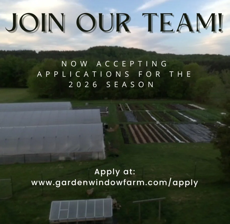 🌱 Garden Window Farm is Hiring! 🌱

Dreaming of work that involves real soil, real food, and real impact? Garden Window Farm is now accepting applications for the season. We&rsquo;re especially looking for an Assistant Farm Manager or Assistant Farm
