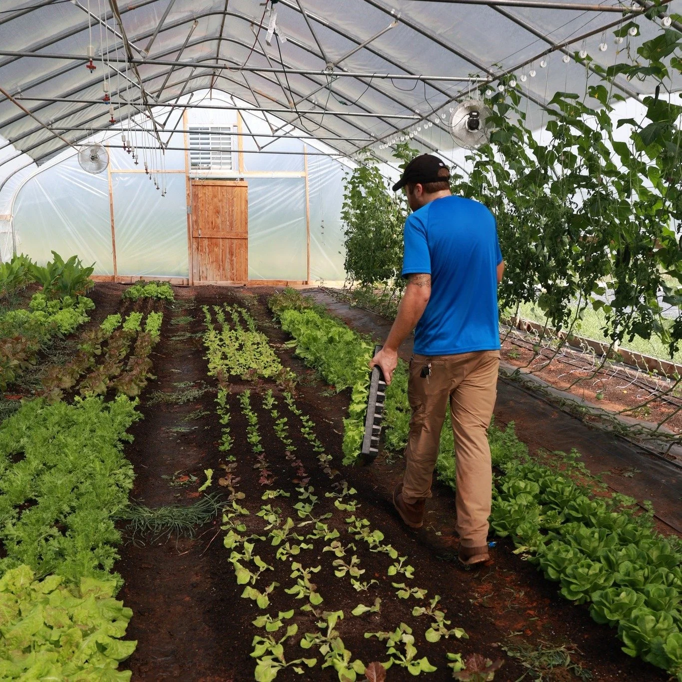 🥦 Don&rsquo;t kale my vibe! It&rsquo;s April Fool&rsquo;s, but your local farms aren&rsquo;t joking&mdash;farm stands and markets are back on Saturdays, and Piedmont Fresh is rolling out fresh local goods. Stop by, stock up, and celebrate the best o