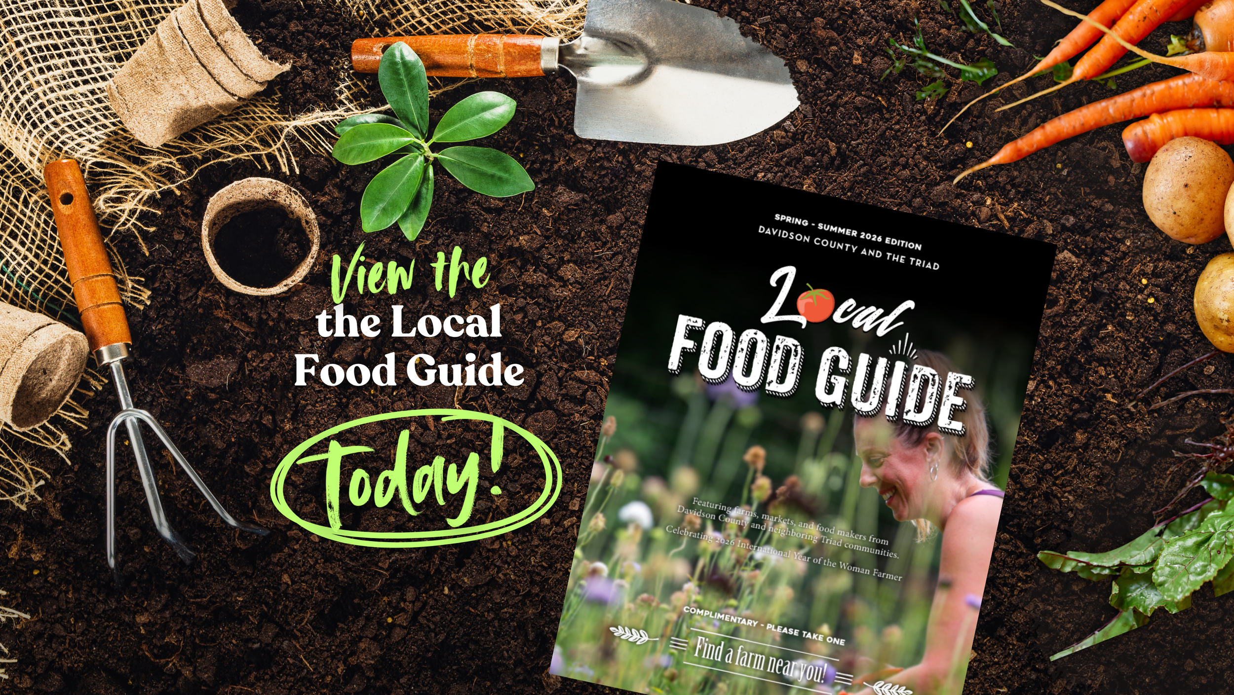 Donation DCLFN Banner.png