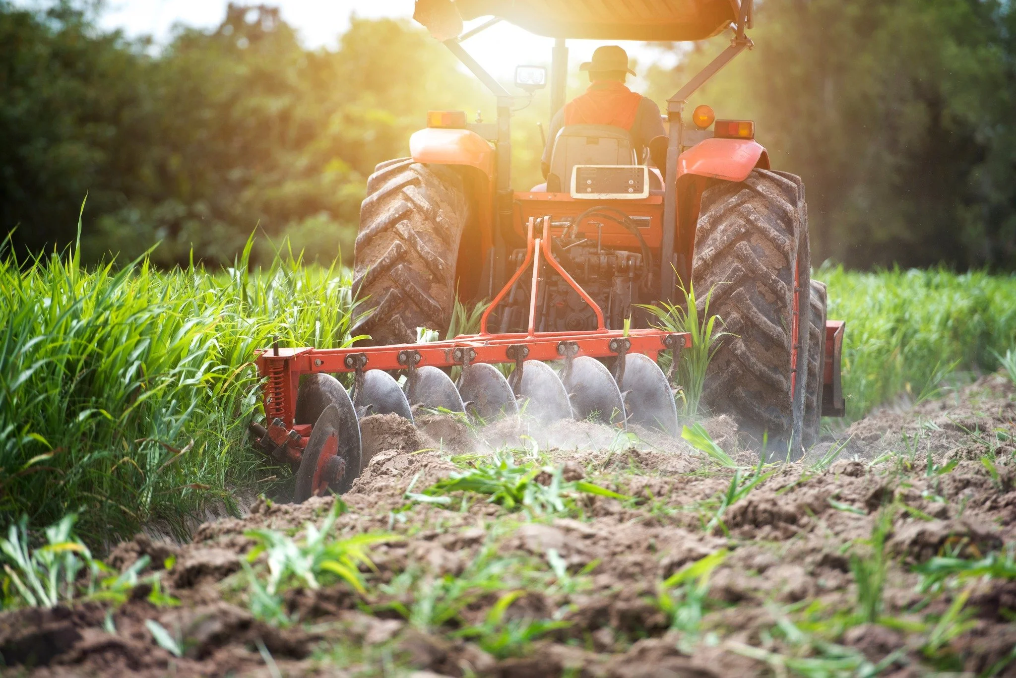 Pesticide Safety &ldquo;V&rdquo; Training

Hosted by N.C. Cooperative Extension, Davidson County Center

This training is designed for NC Private Pesticide Applicators whose certification expires September 30, 2026.

Event details:
Tuesday, May 5
5:3