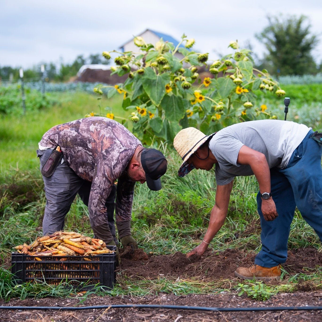 We&rsquo;ve heard you&mdash;and we&rsquo;re excited to share an update on this year&rsquo;s Farm Tour for the Davidson County Local Food Network.

Instead of our usual late spring timing, we&rsquo;re planning something a little different this year. W