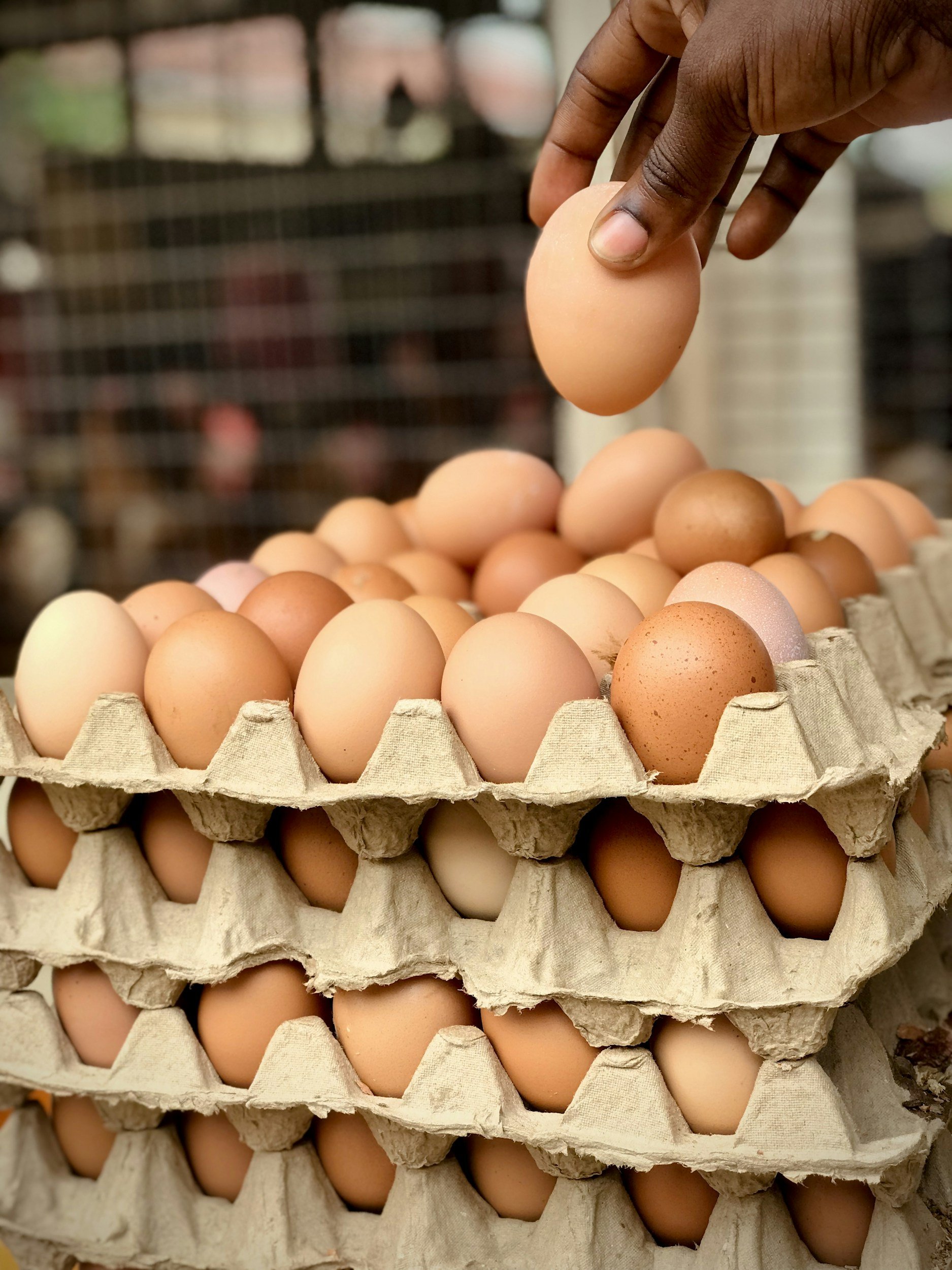 Food As Medicine at Thomasville Farmers Market