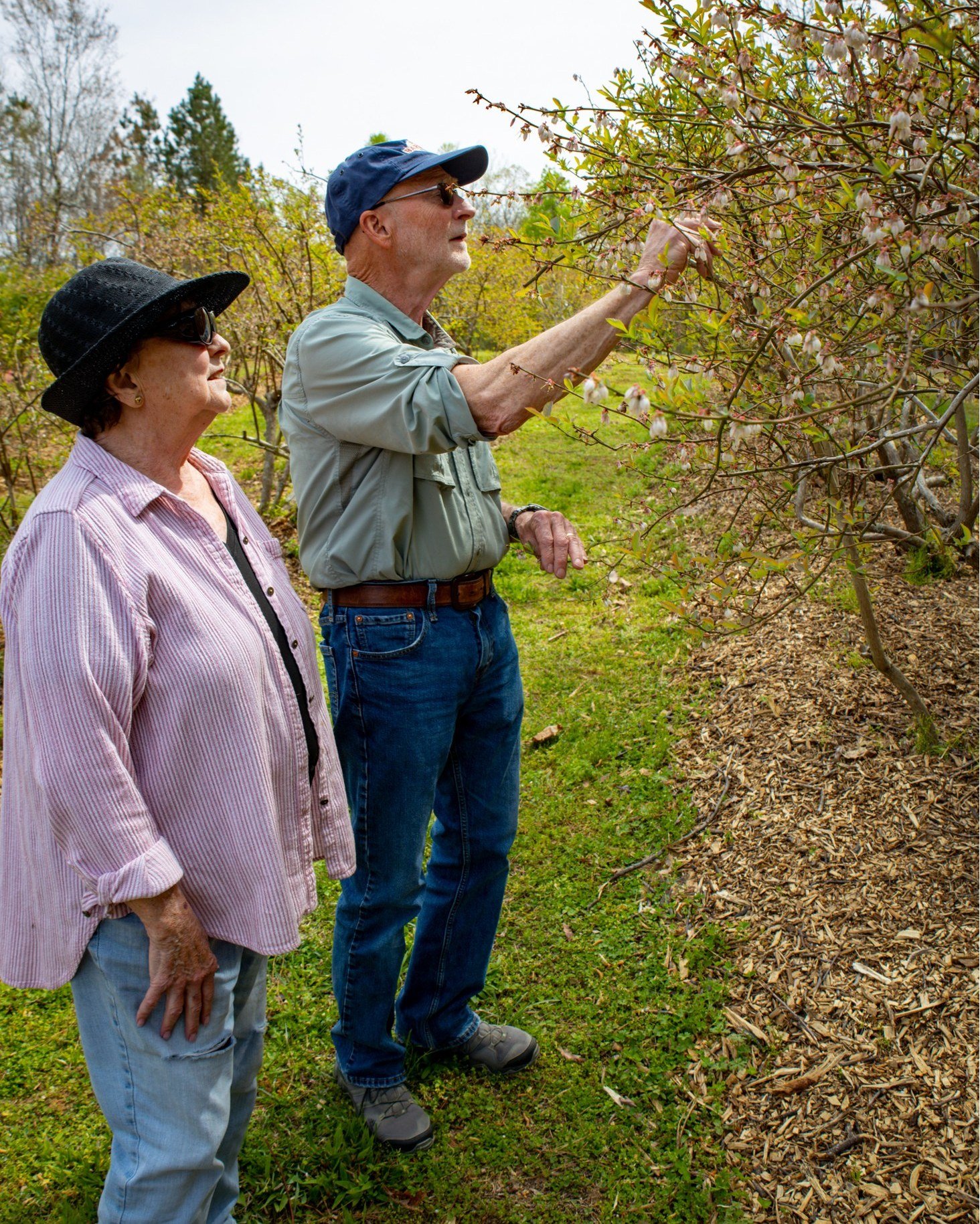 Save the date for the 12th Annual Blueberry Fest at SandyCreek Farm on Saturday, June 20, 2026 in Lexington, NC!

Enjoy a fun-filled day with fresh blueberries, live music, food, blueberry treats, nature trails, shopping in the farm store and greenho