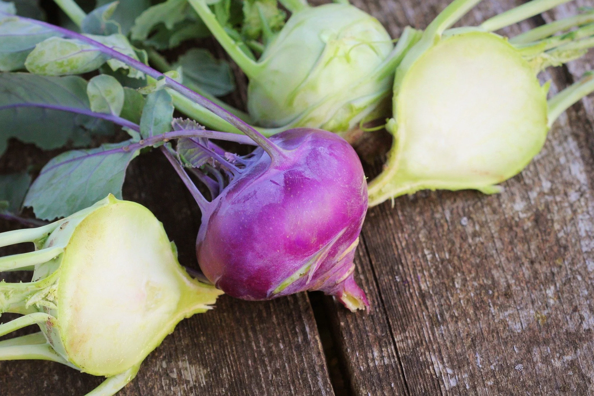 SPRING IN DAVIDSON COUNTY (April&ndash;June)

Spring in Davidson County brings a fresh mix of cool-weather greens, early root vegetables, and the first sweet harvests of the season from our local farms.

As markets come alive, you&rsquo;ll start seei