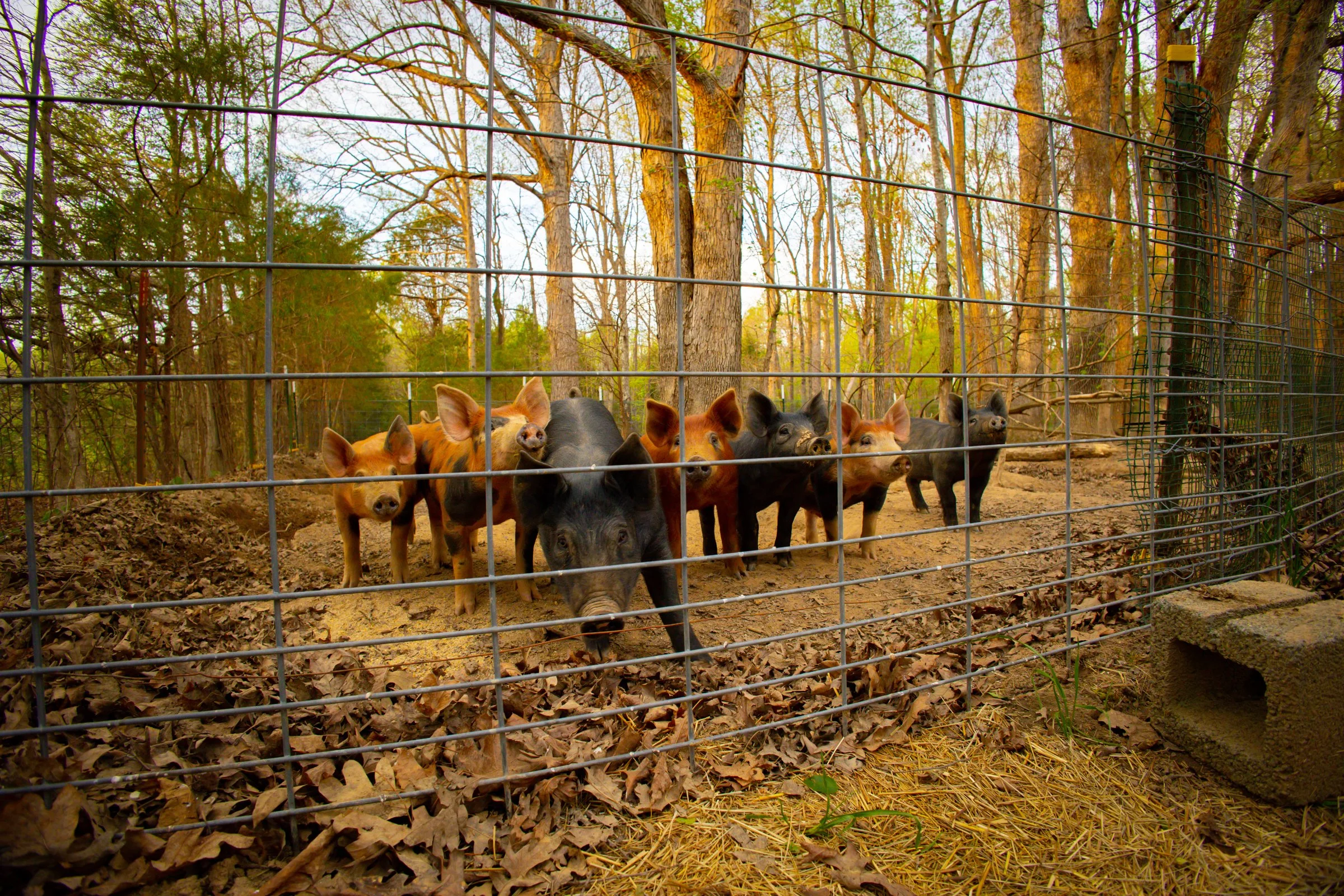 Crossings Farm-1.jpg