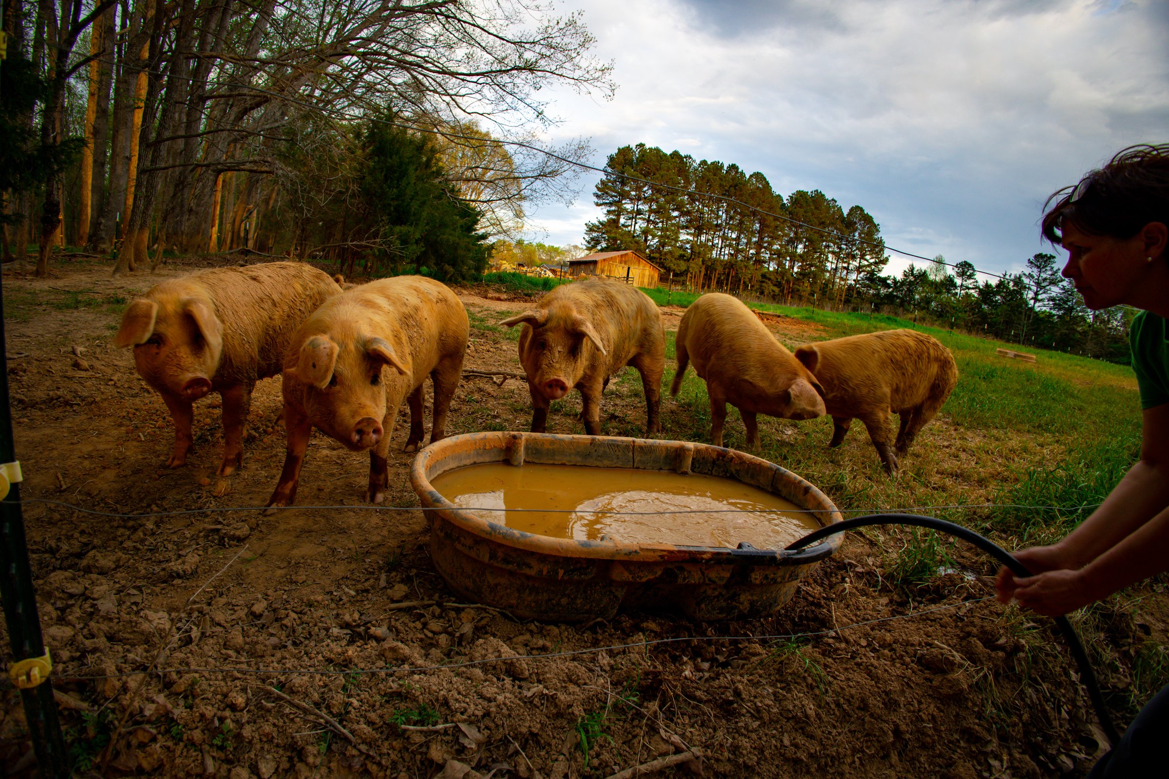 Crossings Farm-11.jpg