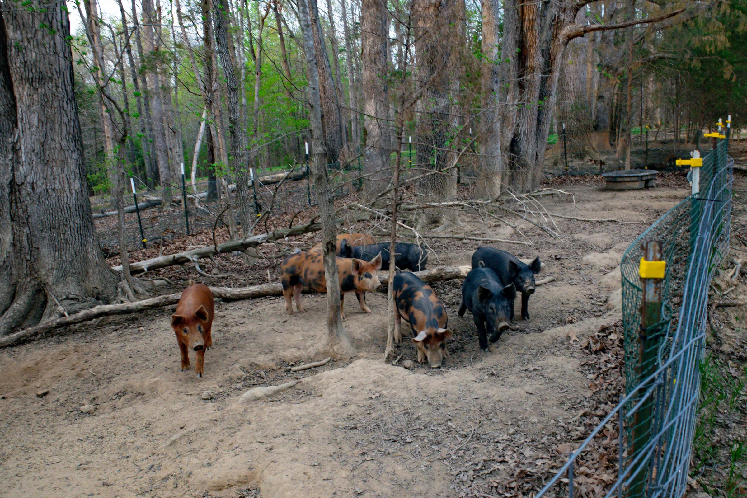 Crossings Farm-13.jpg