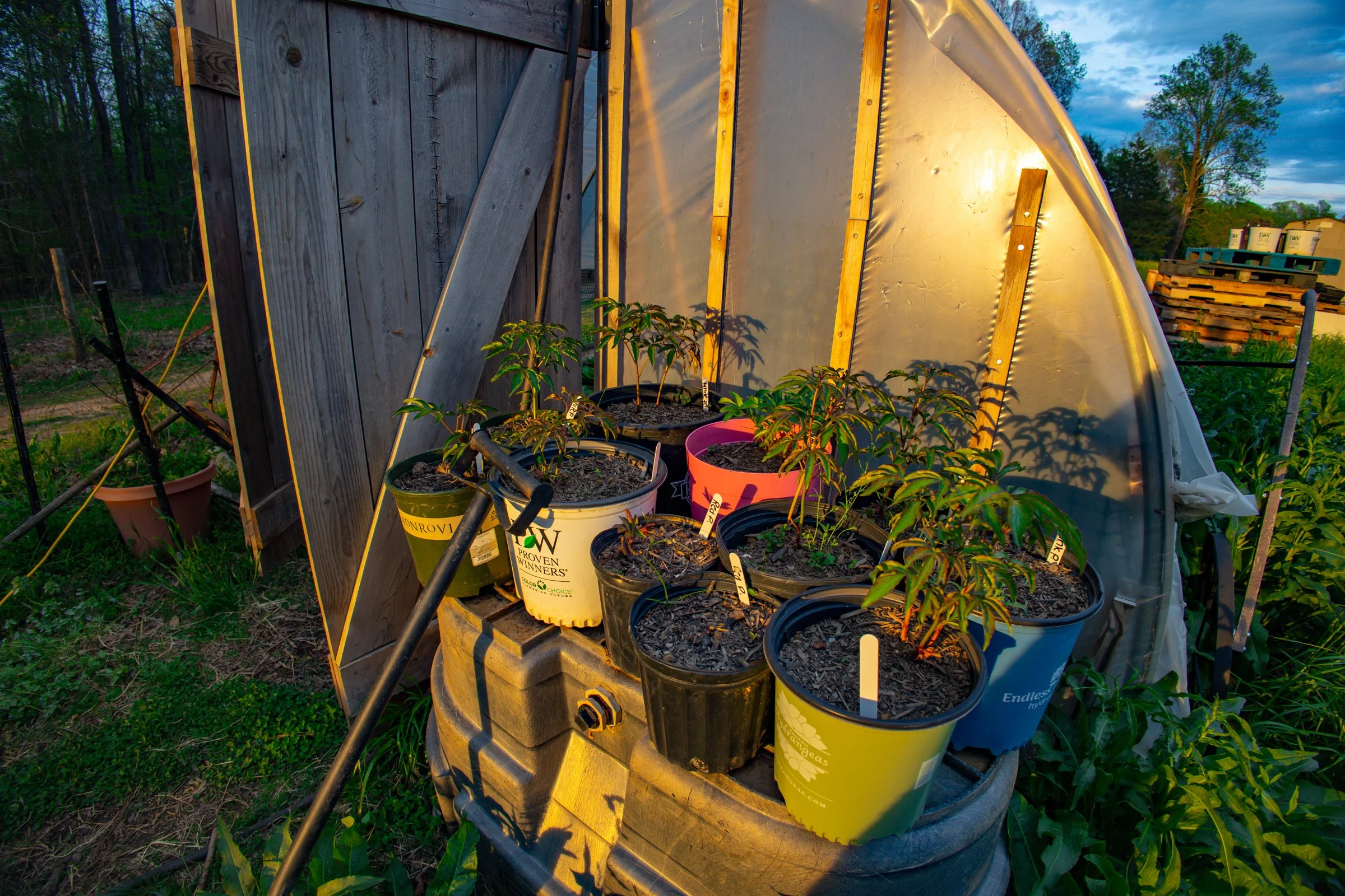 Crossings Farm-18.jpg