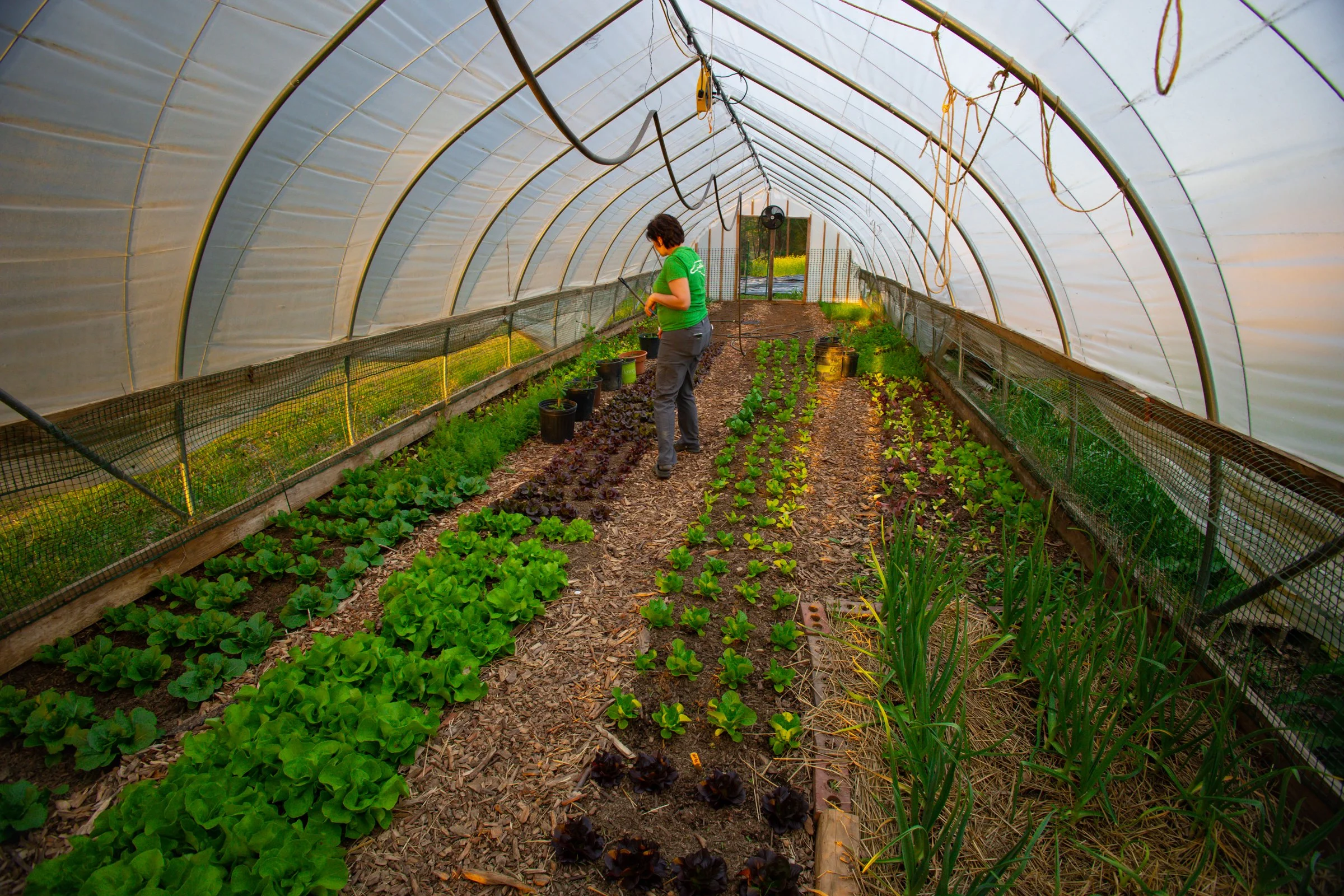 Crossings Farm-19.jpg