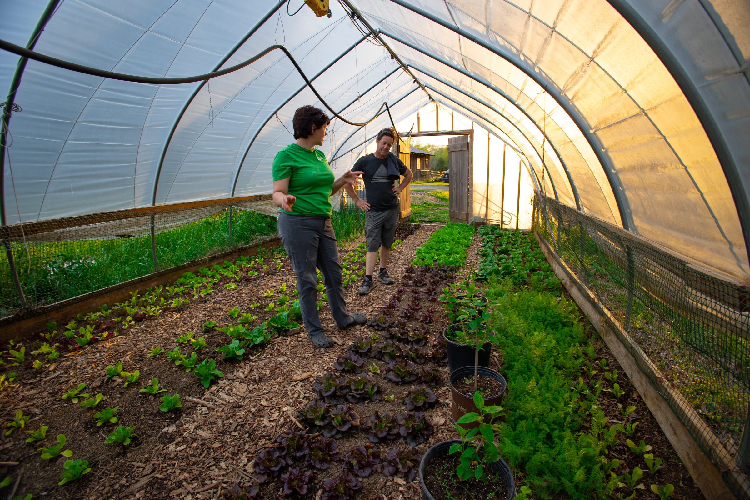 Crossings Farm-22.jpg