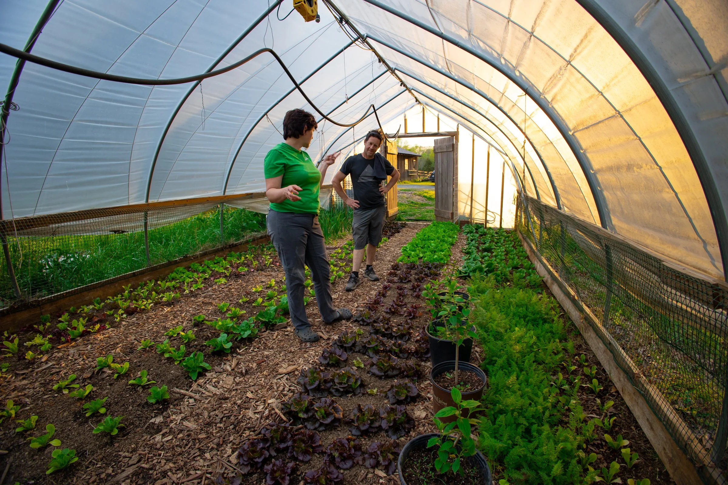 Crossings Farm-23.jpg