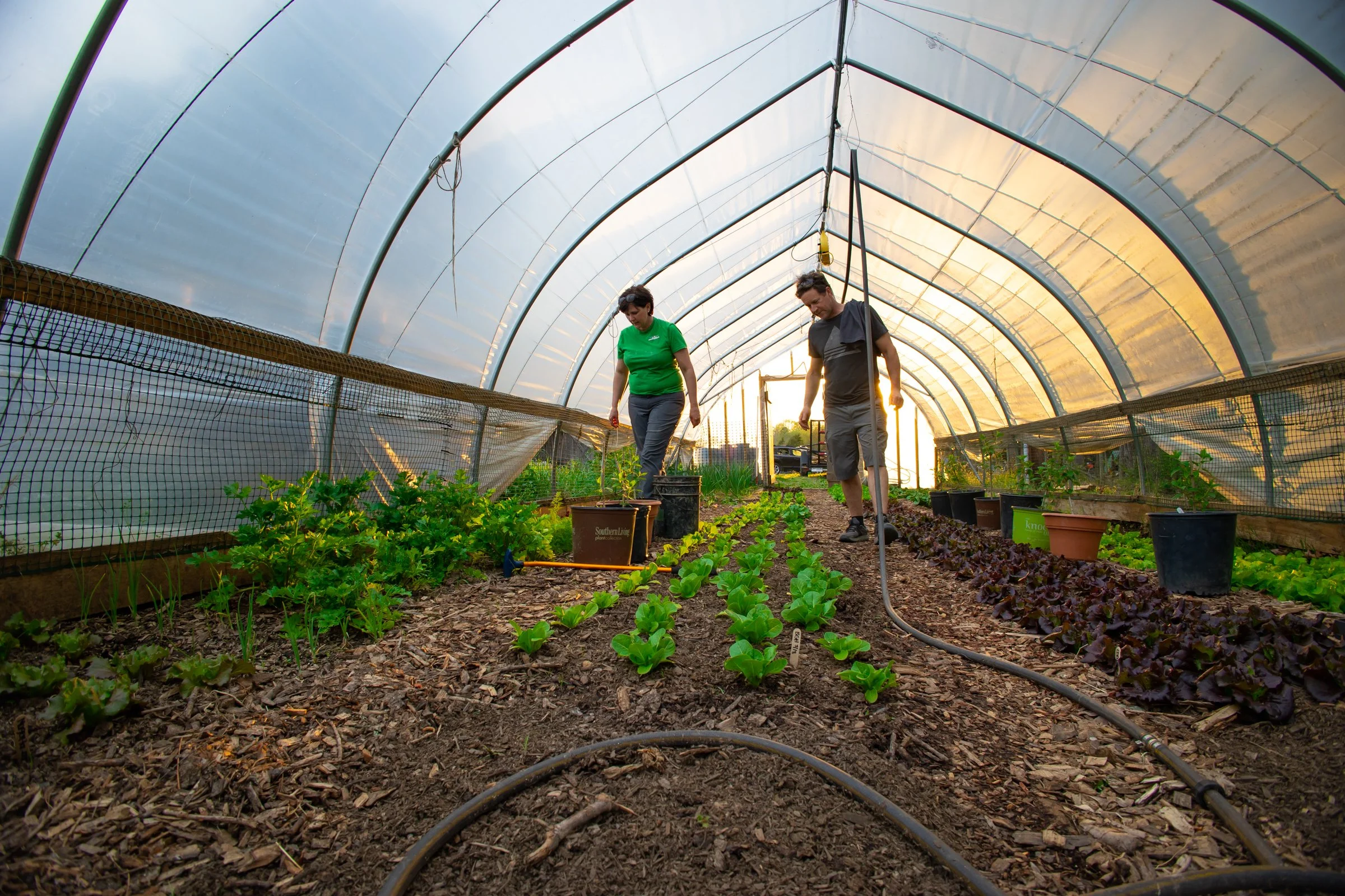 Crossings Farm-24.jpg