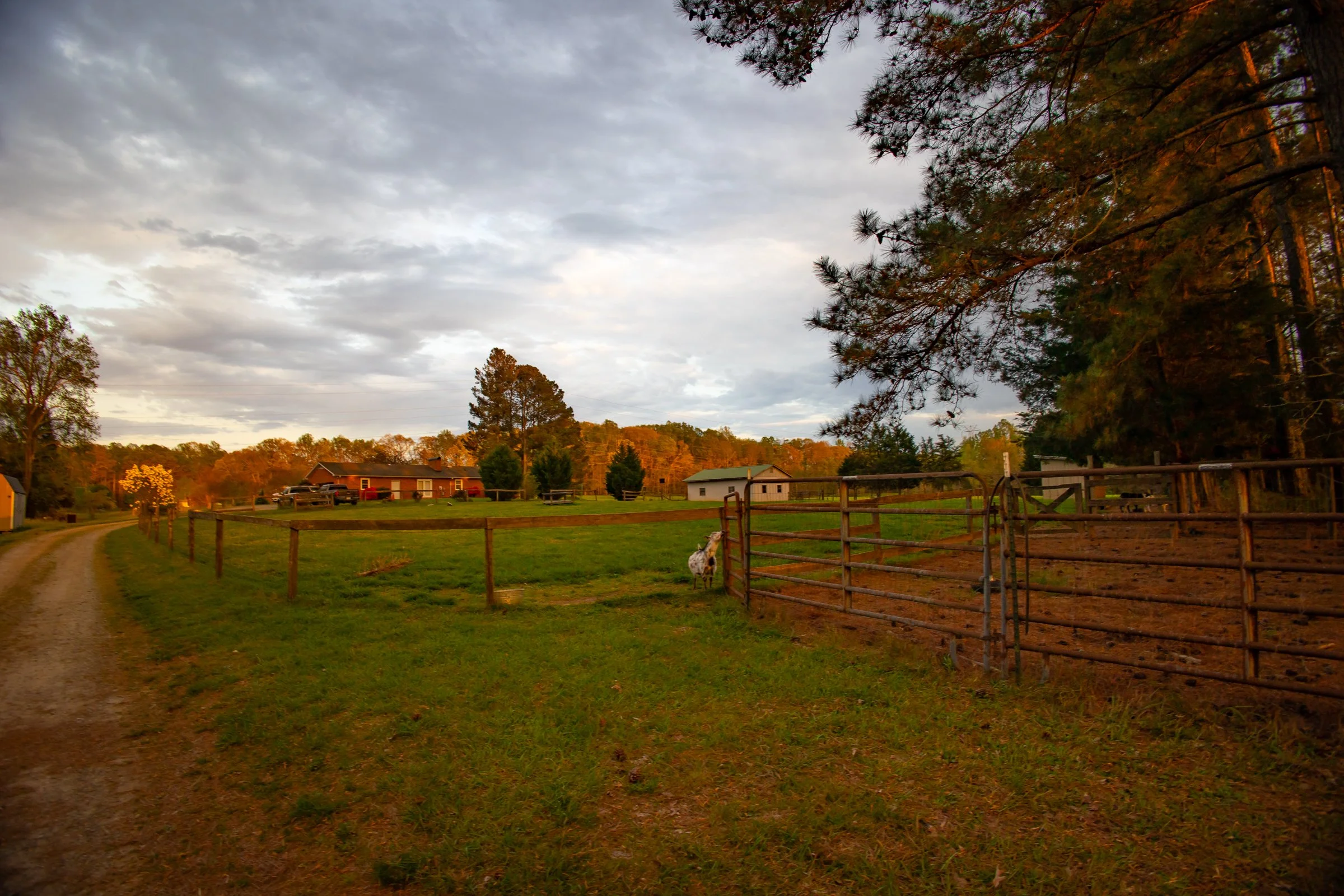 Crossings Farm-35.jpg