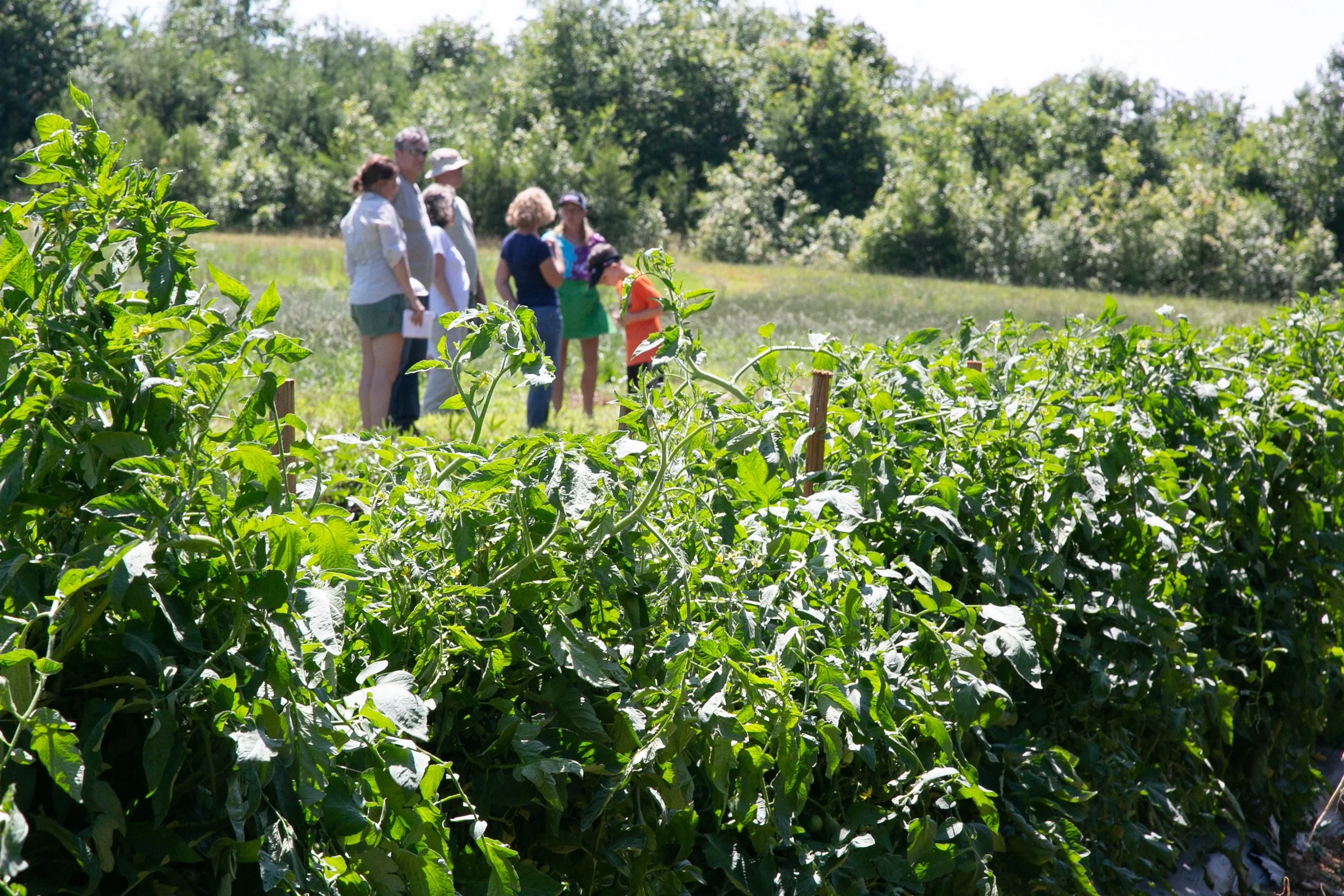 Farm Tour_Davidson County-27.jpg