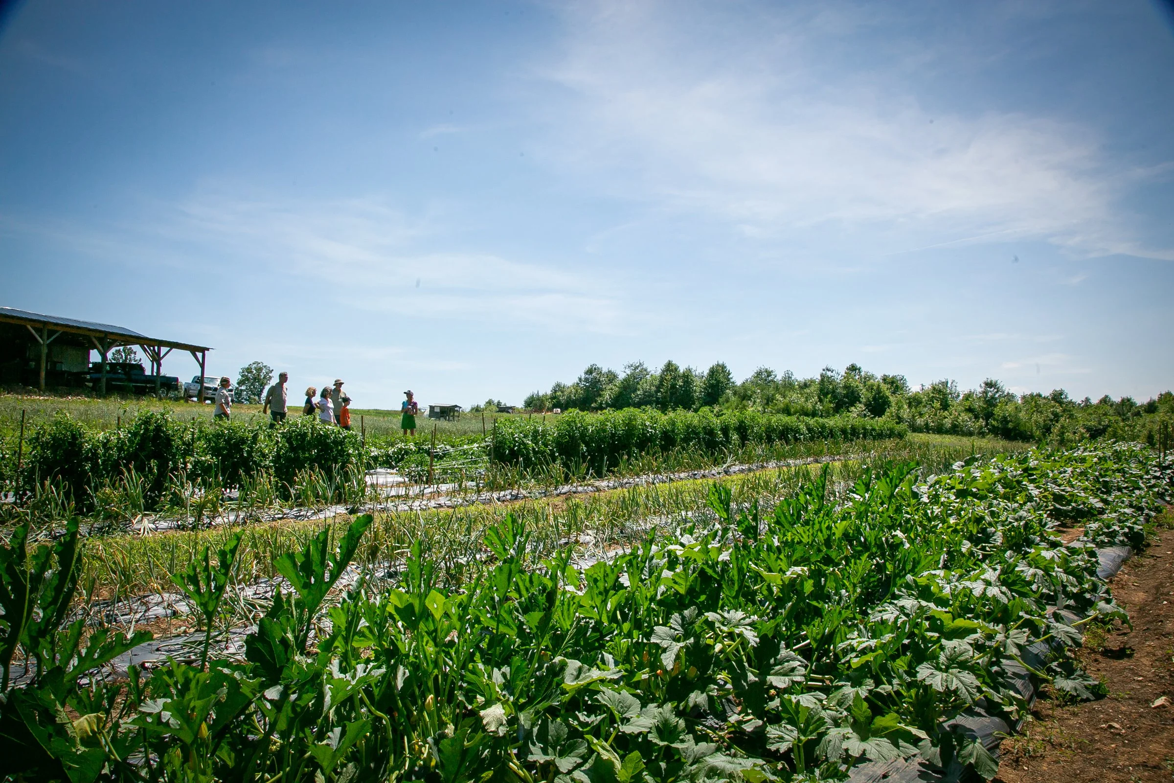 Farm Tour_Davidson County-30.jpg