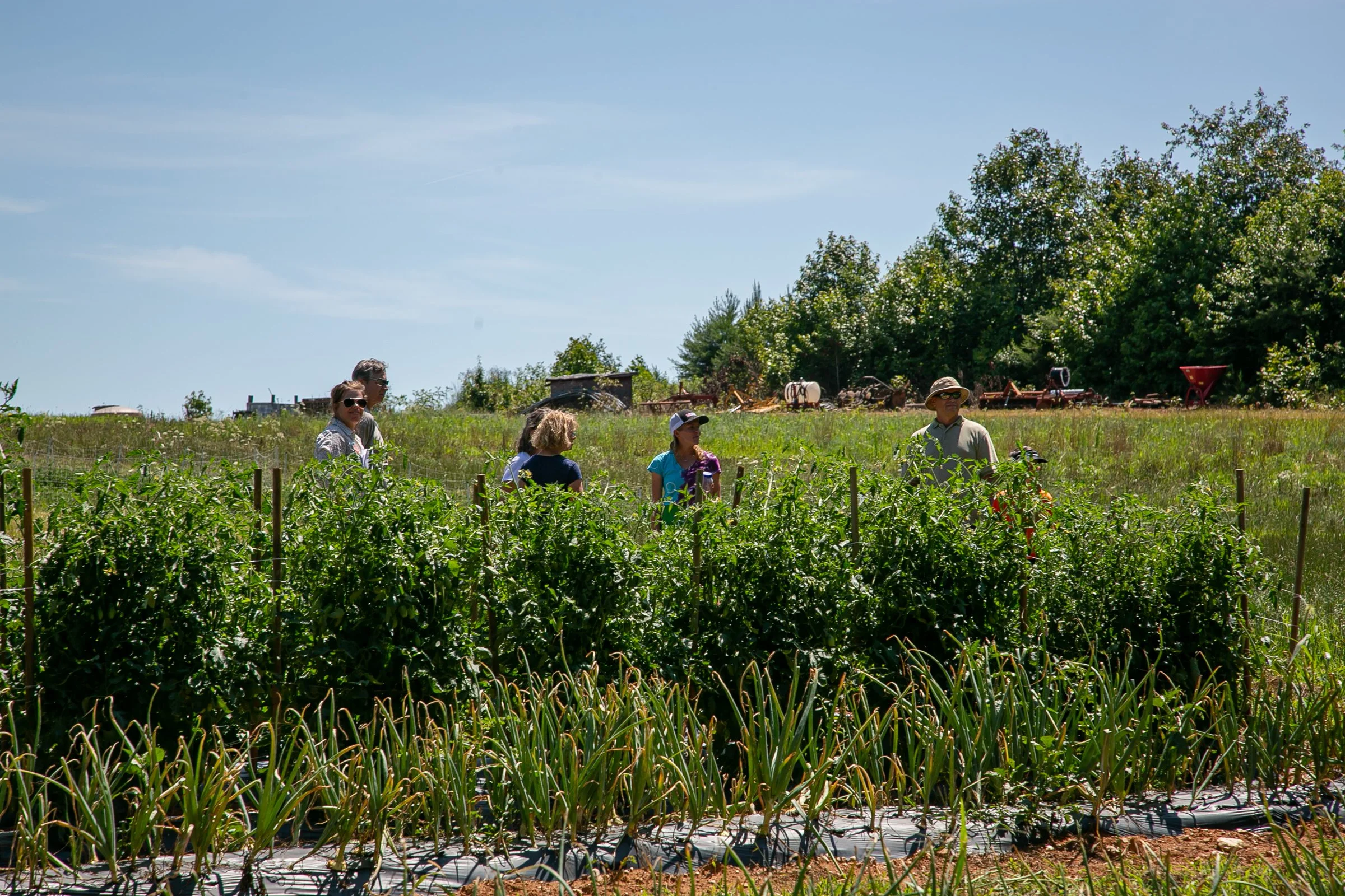 Farm Tour_Davidson County-32.jpg