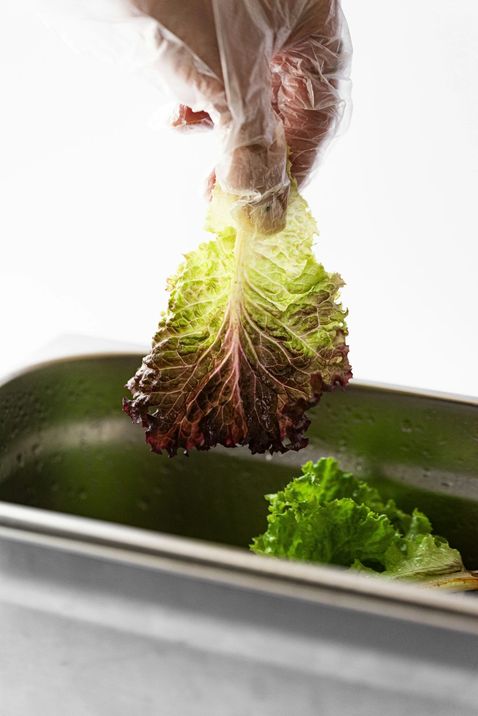 Food Safety and Quality Control for Fall Production