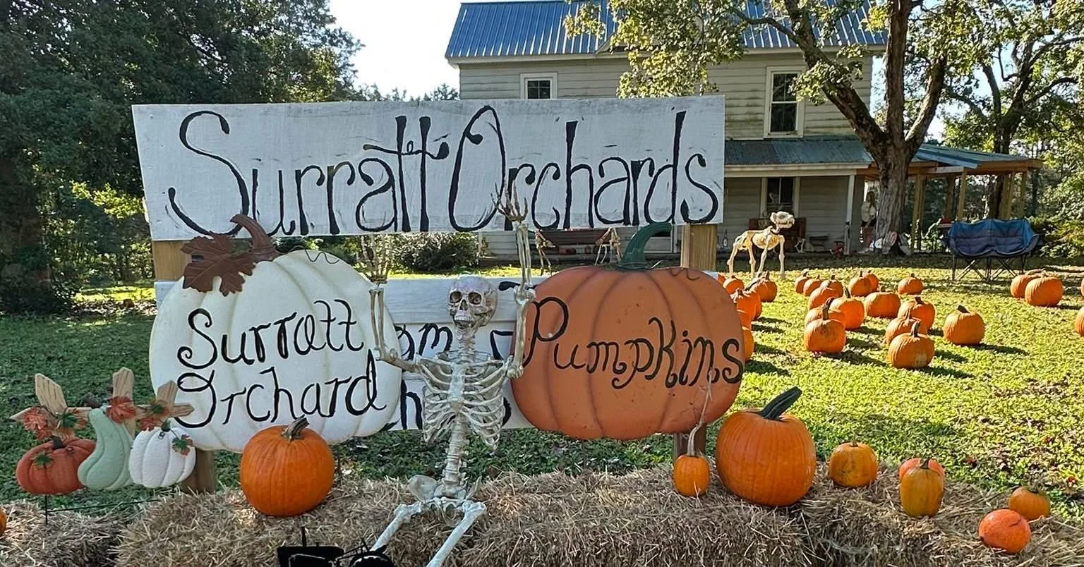 Surratt Orchards