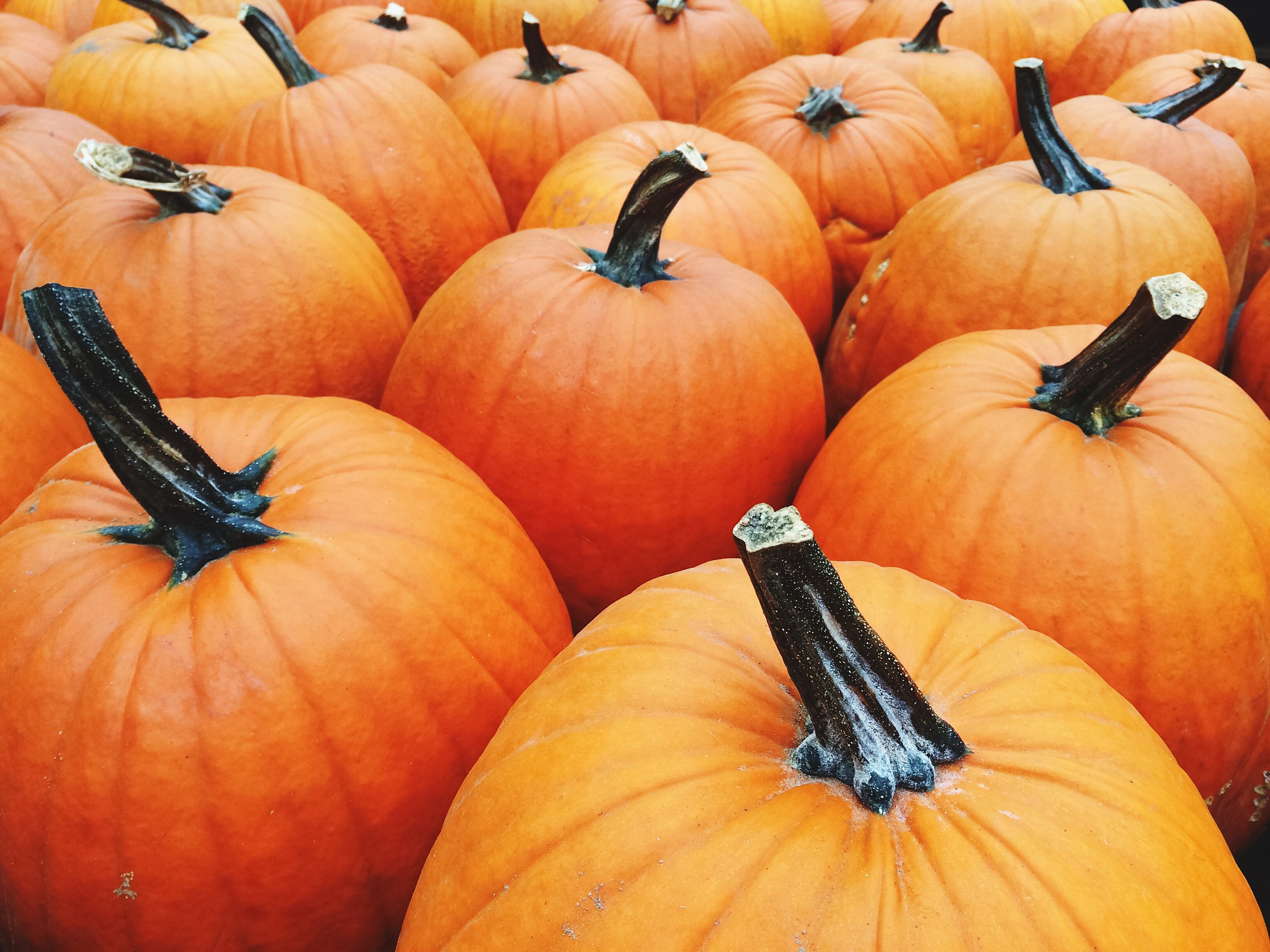 AdobeStock_91357269.jpeg