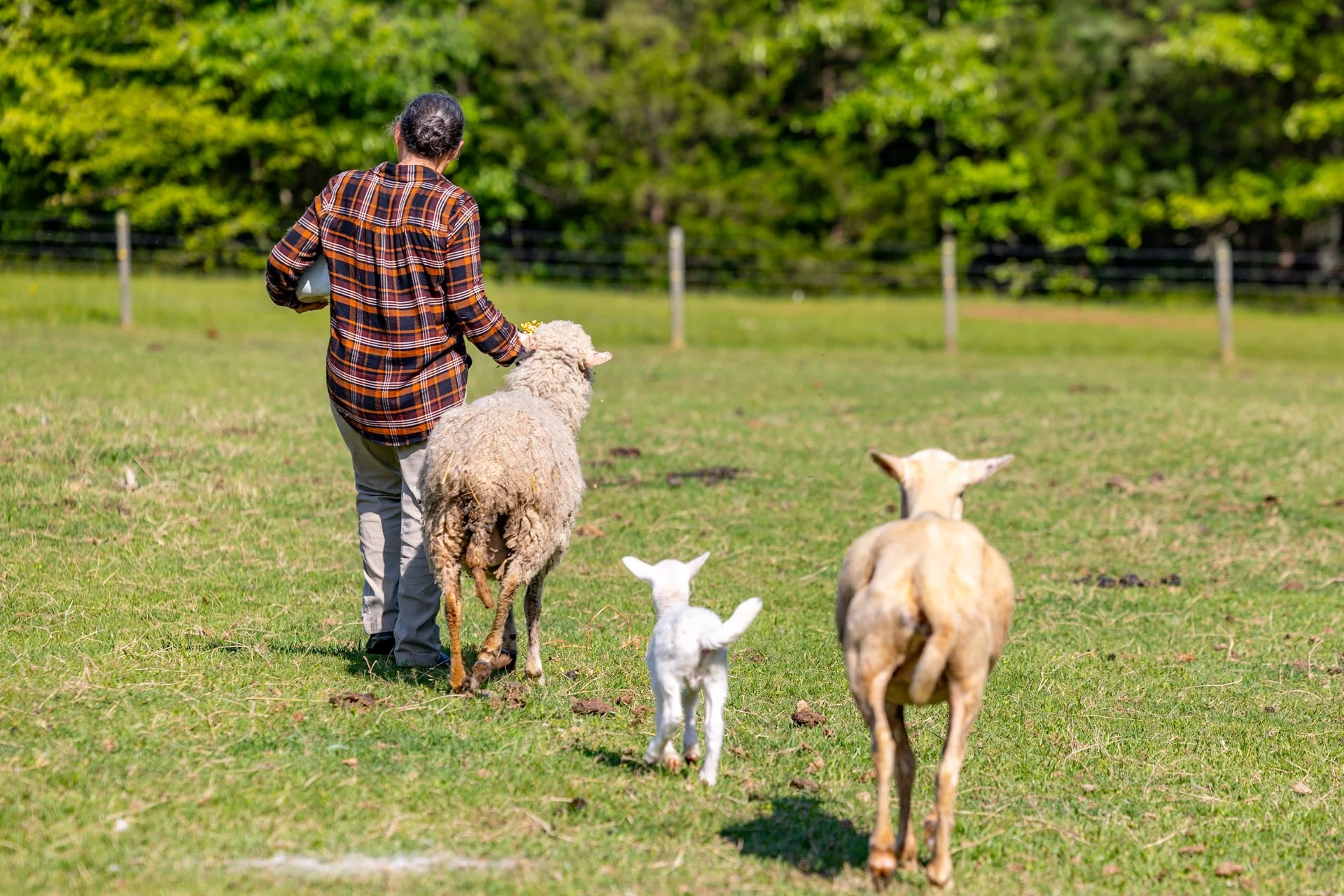 Serenity Farm-82.jpg